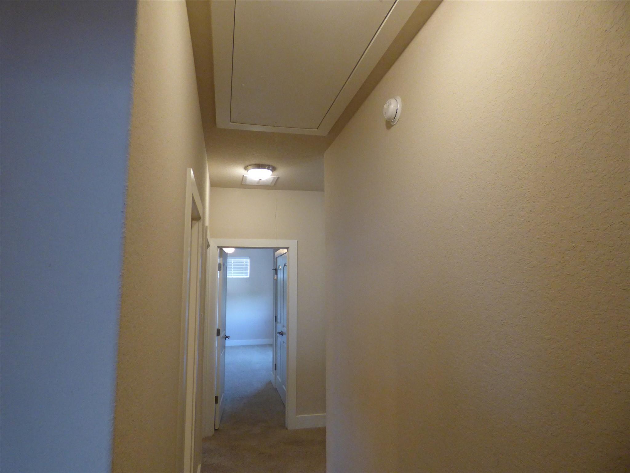 918 Crystal Brook Cv, New Braunfels, TX 78130