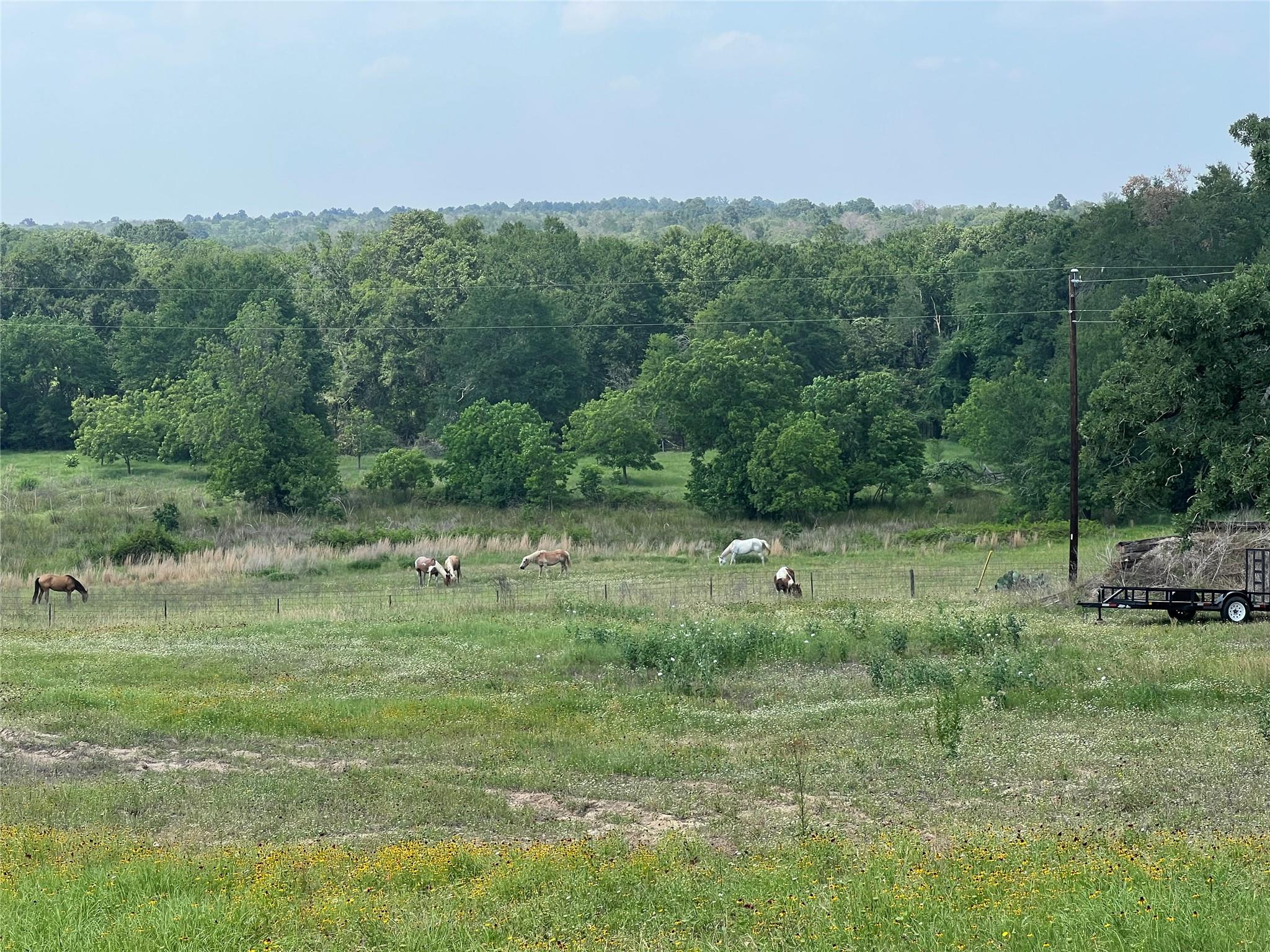 702 Paint Creek Rd, McDade, TX 78650