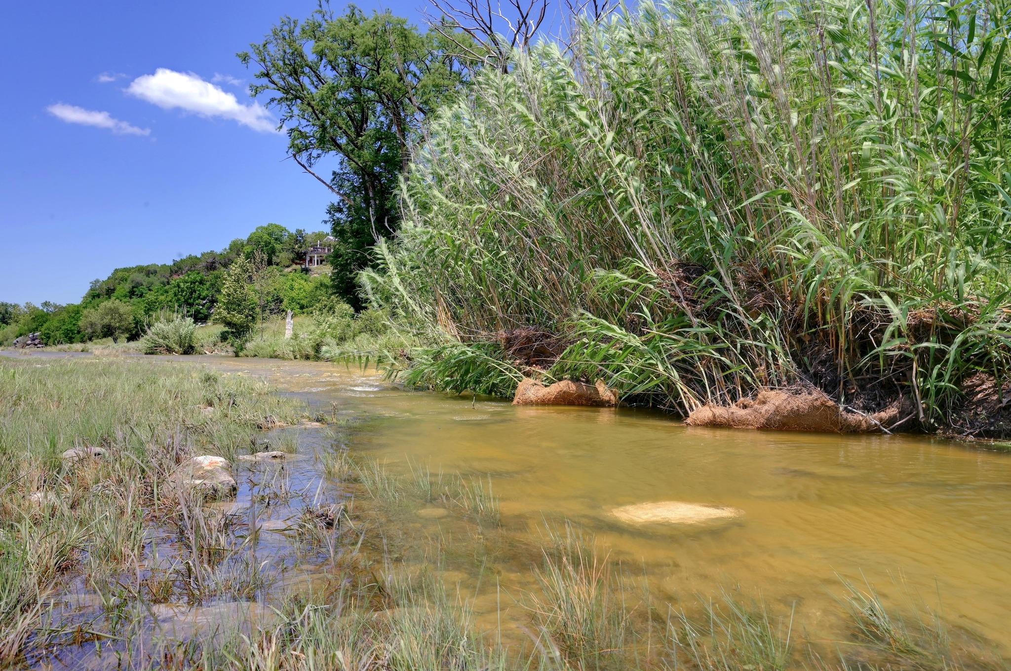 1020 River Rd, Wimberley, TX 78676