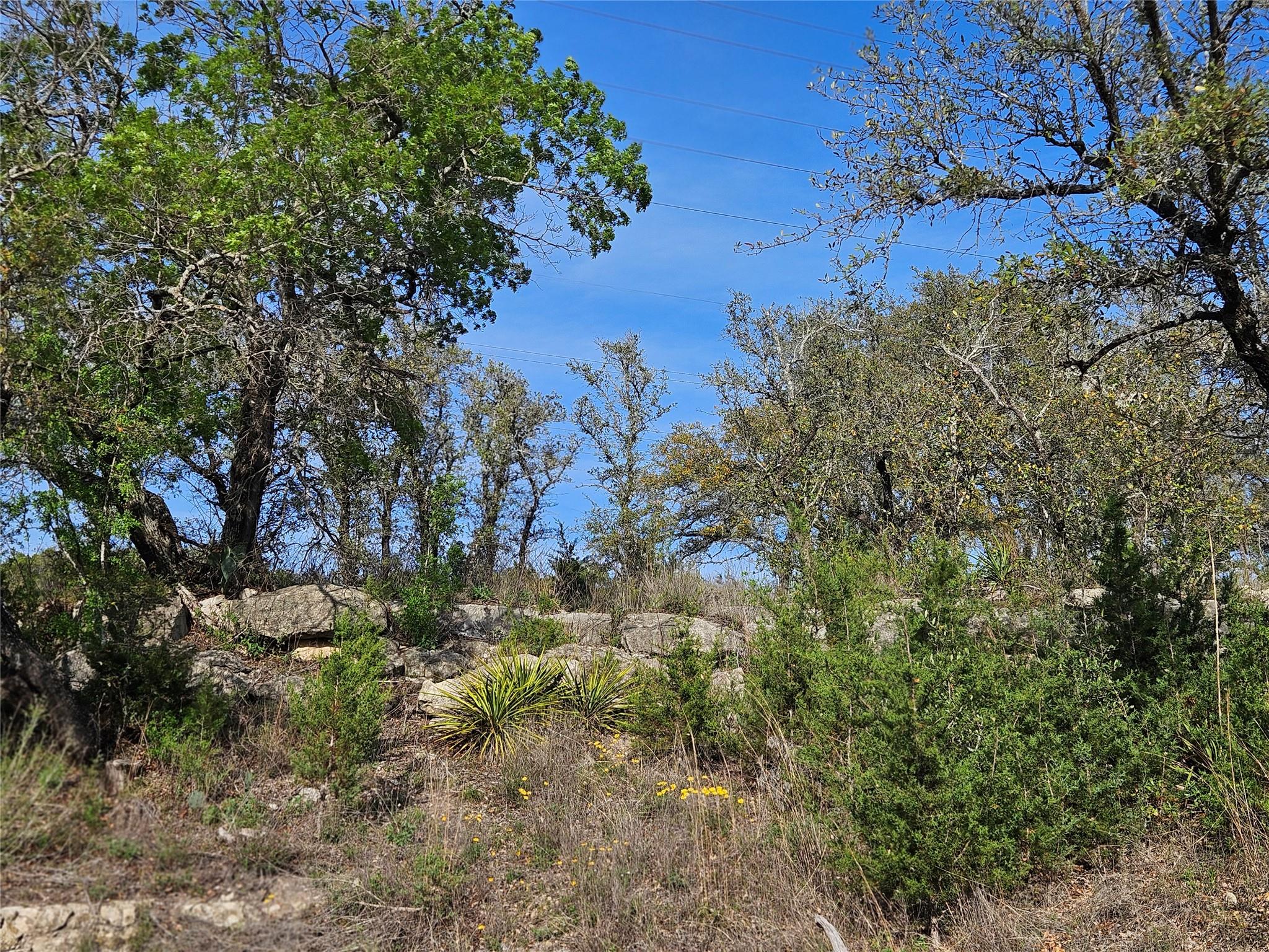 431 County Road 413, Spicewood, TX 78669