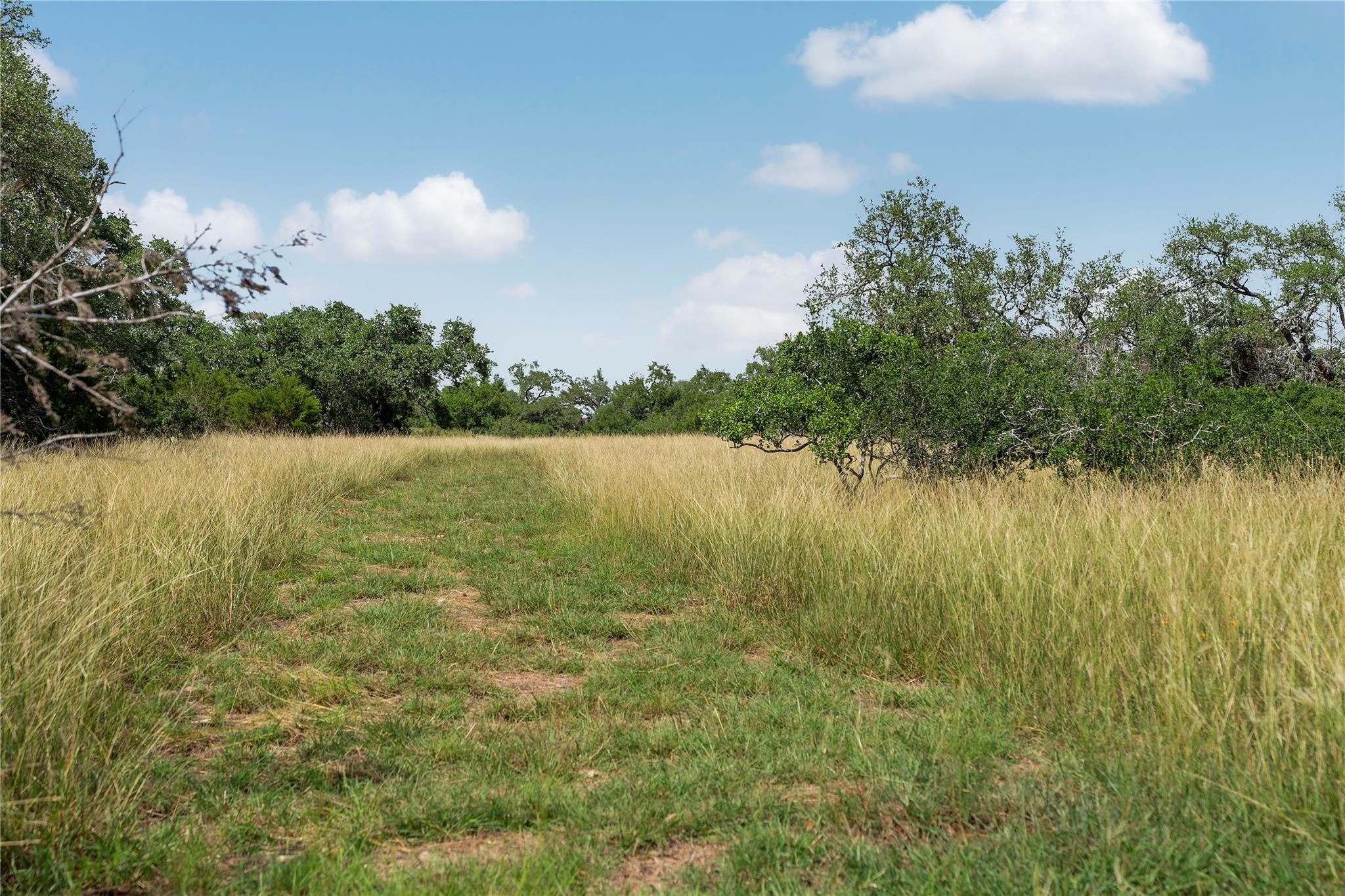 110 Purgatory Pass, San Marcos, TX 78666