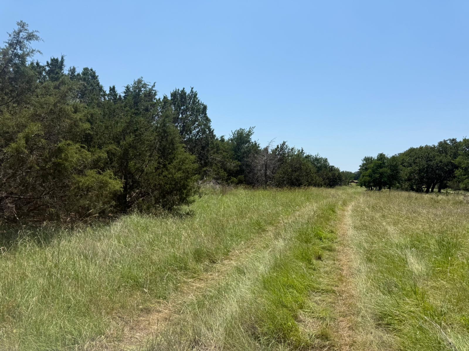 TBD Lot 1 Indian Lake Rd, Florence, TX 76527