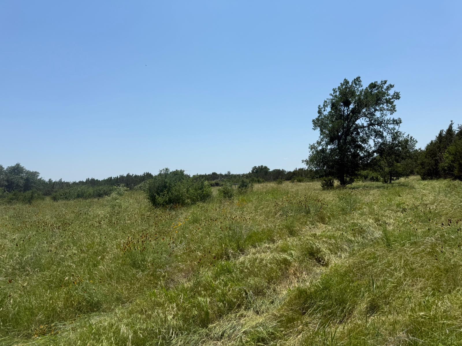 TBD Lot 1 Indian Lake Rd, Florence, TX 76527