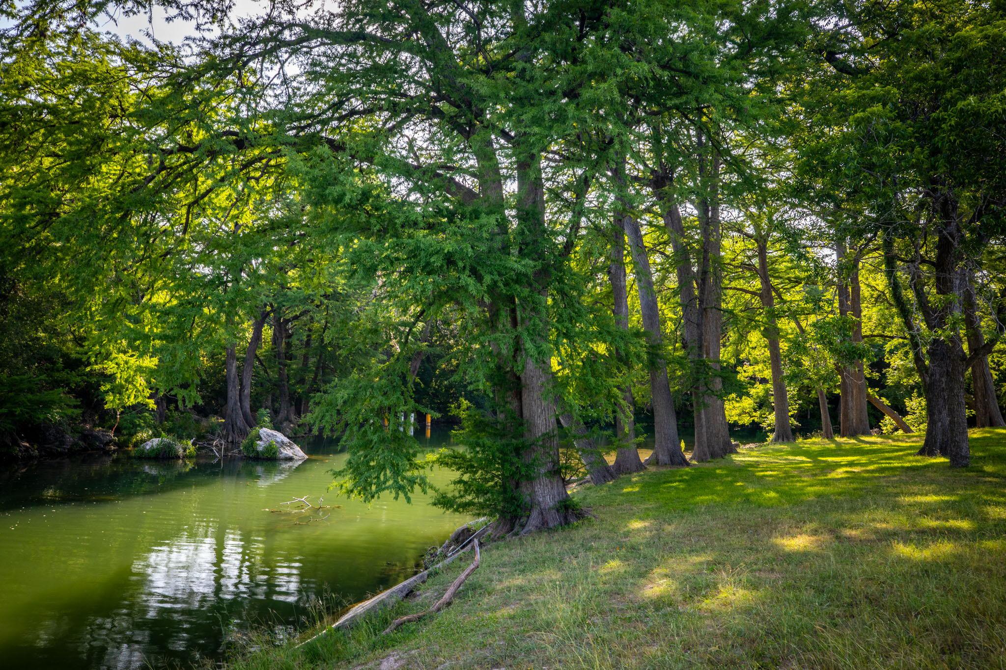 1106 Hillcrest Dr, New Braunfels, TX 78130