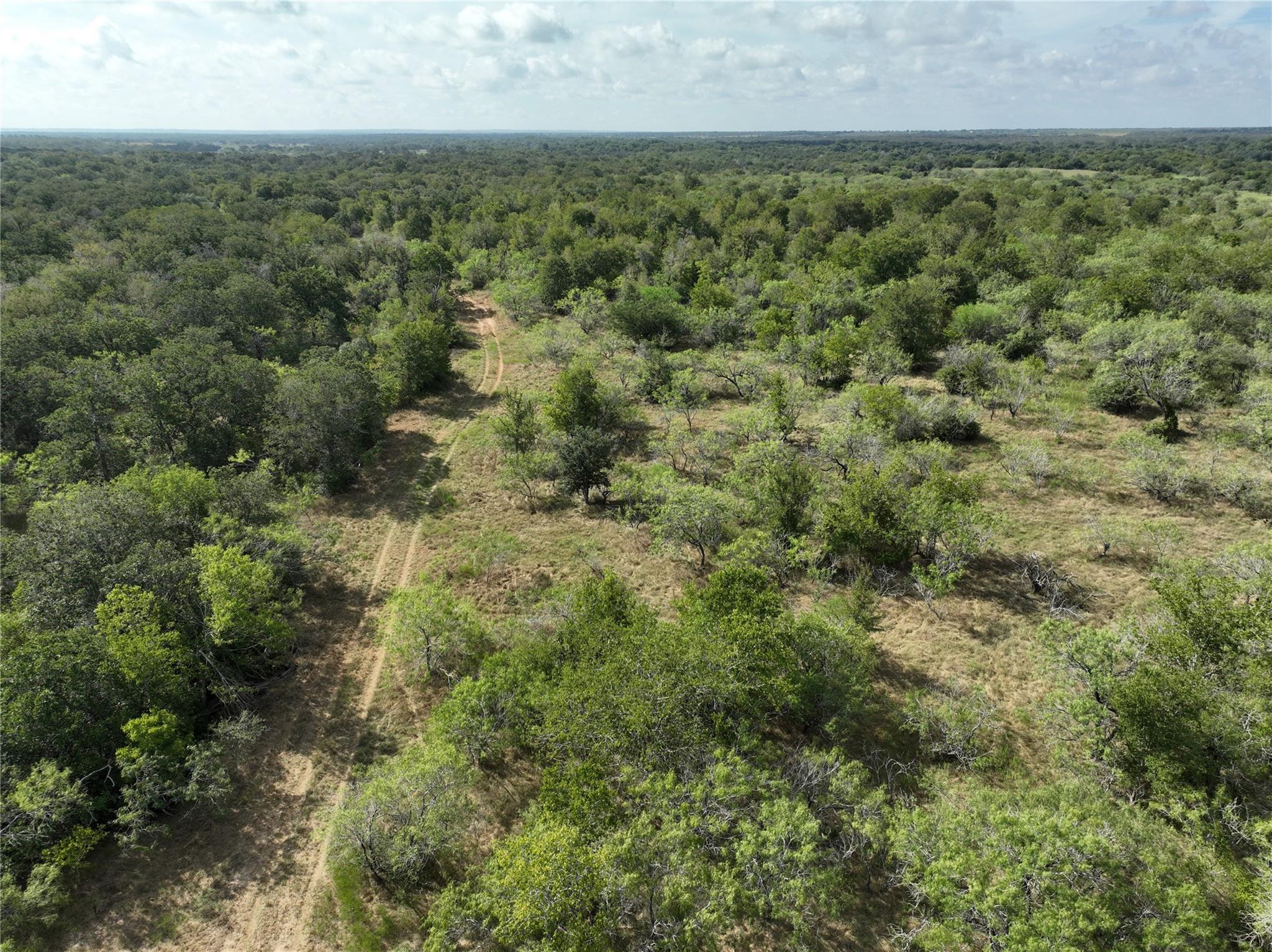 TBD Lot 7 CR 424 Rd, Waelder, TX 78629