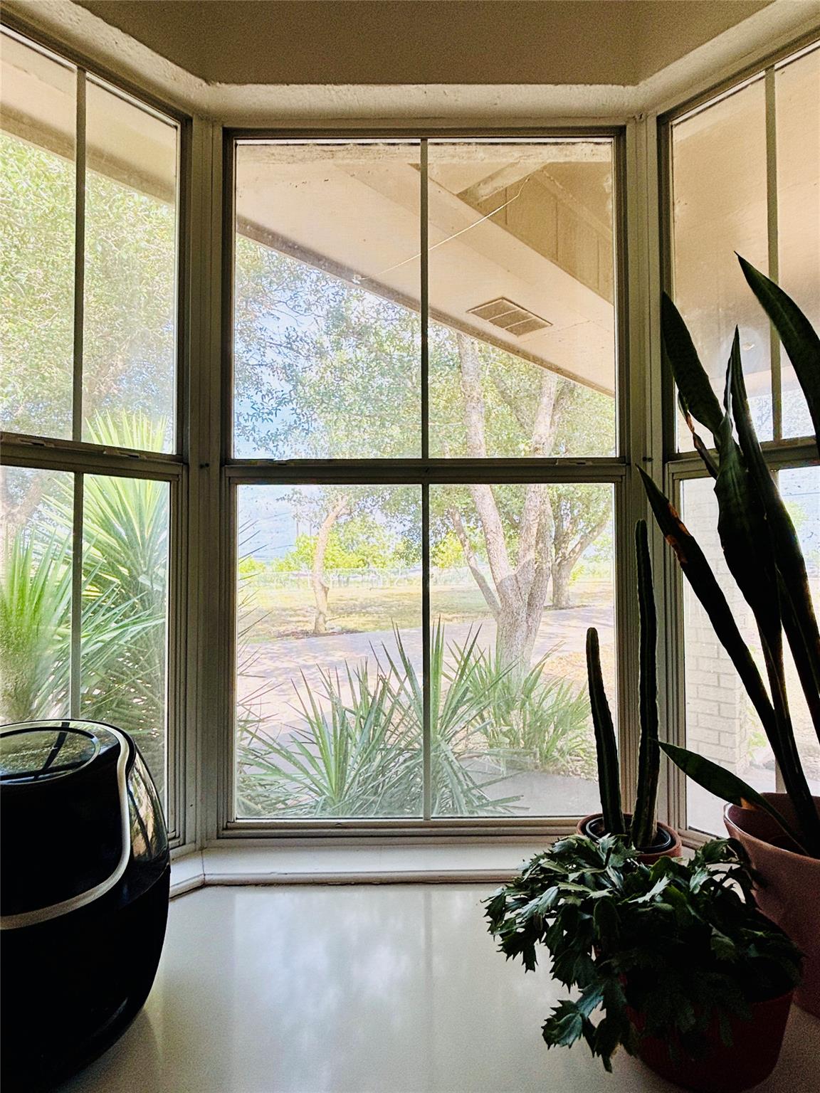 900 Williamson Rd, Kyle, TX 78640