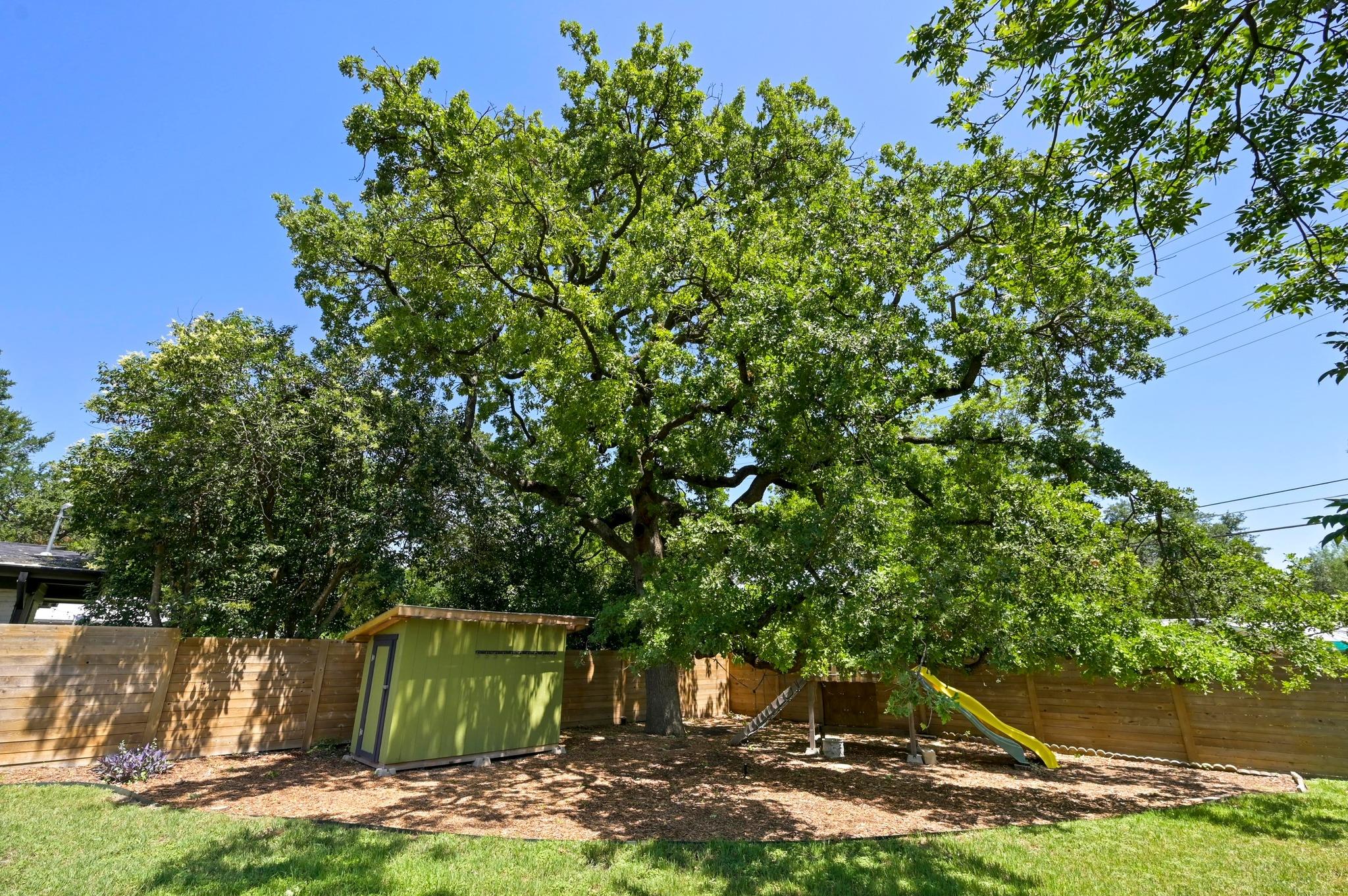 1802 Corona Dr, Austin, TX 78723
