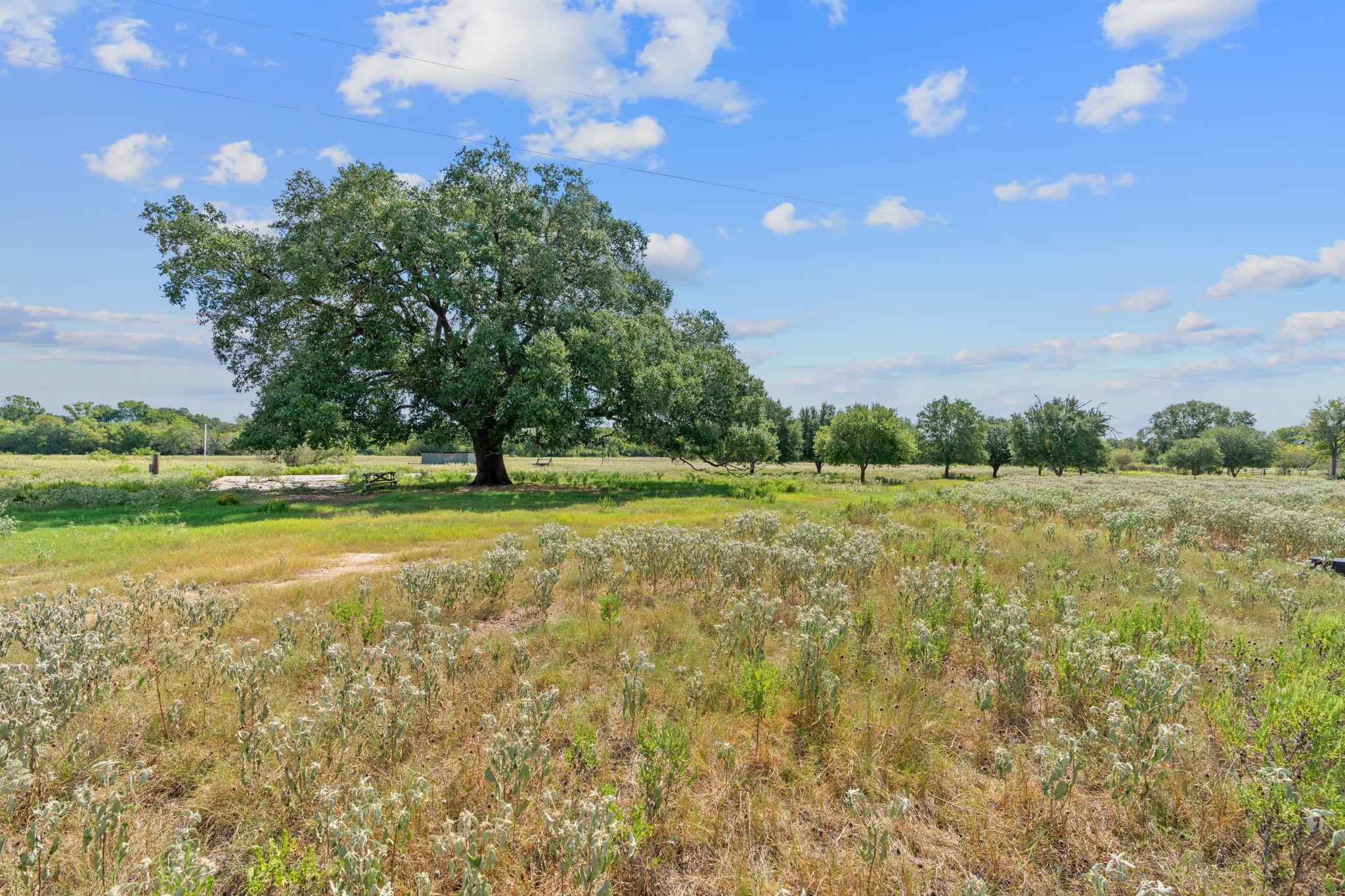 Lot 7 Private Road 4511, Waelder, TX 78959