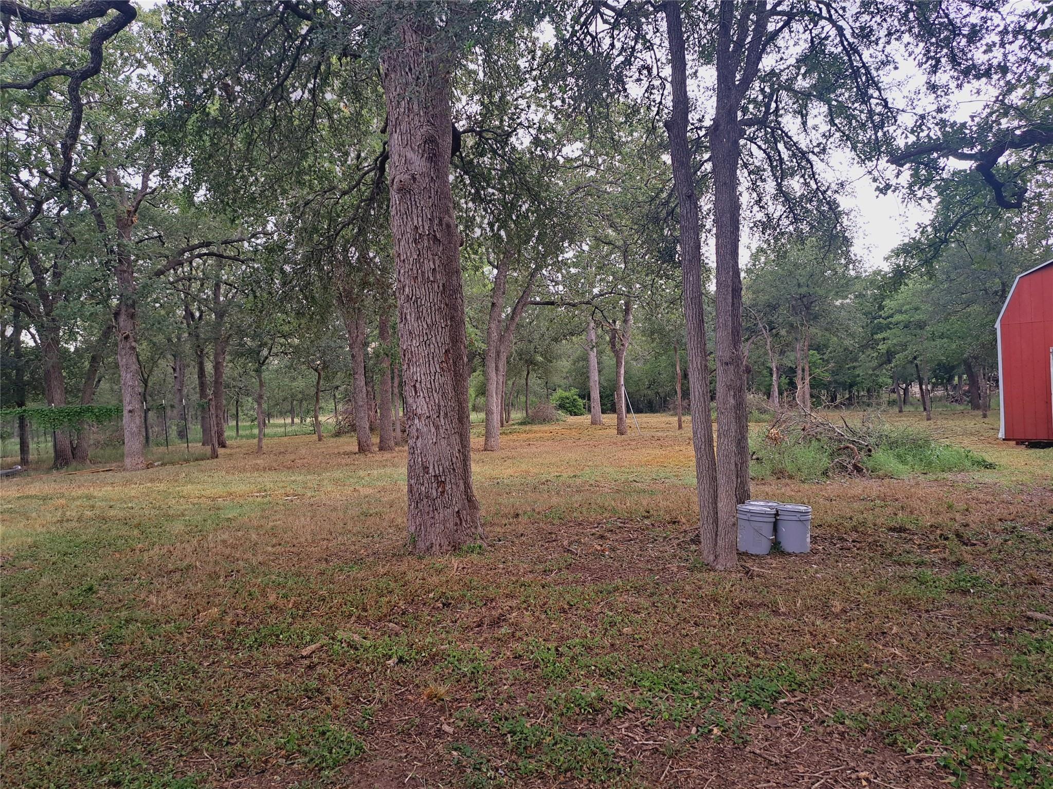 168 Maegan Ln, Cedar Creek, TX 78612