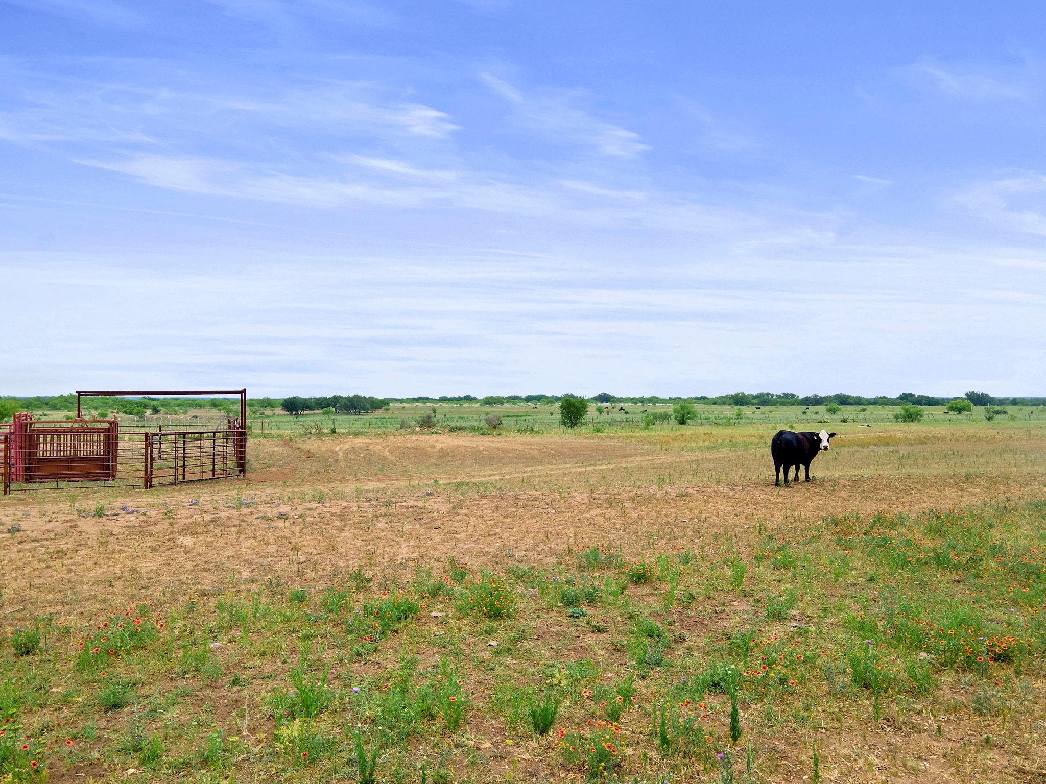 8557 Fm-586, Bangs, TX 76823