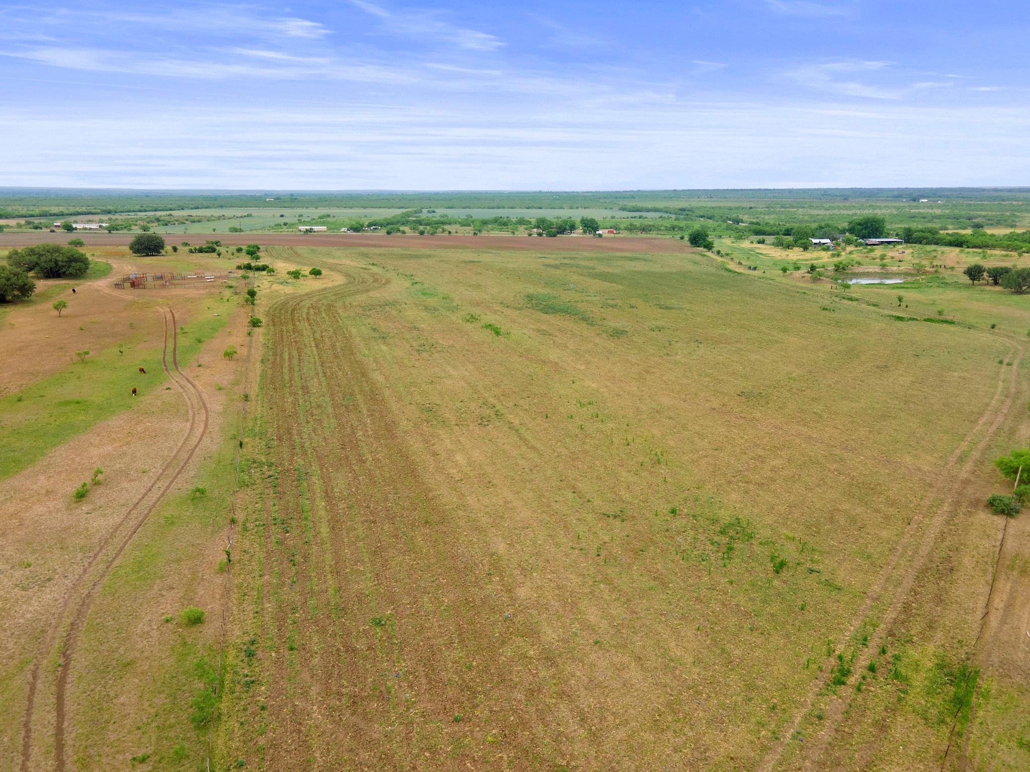 8557 Fm-586, Bangs, TX 76823