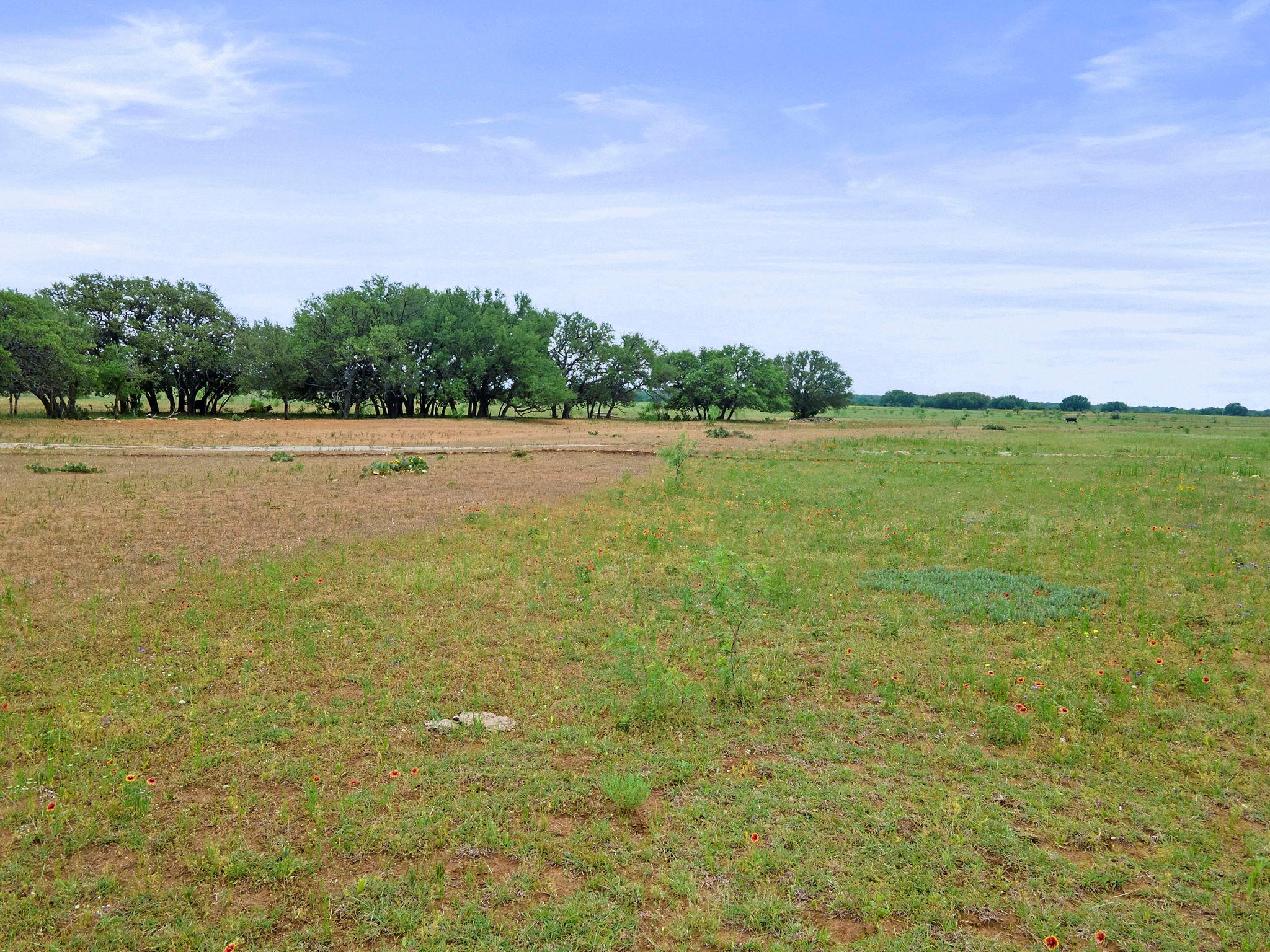 8557 Fm-586, Bangs, TX 76823