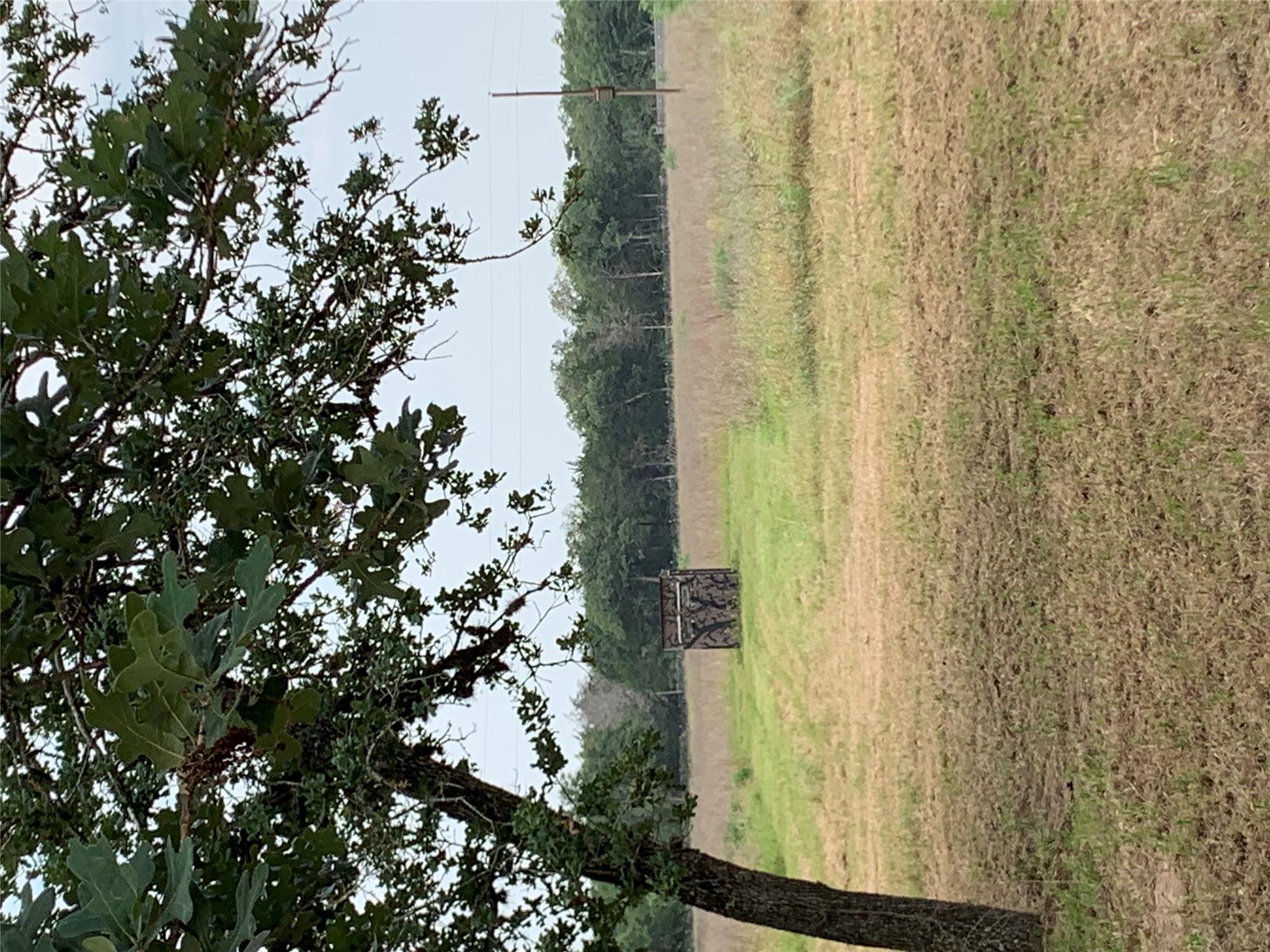 276 Ott Rd, Rosanky, TX 78953