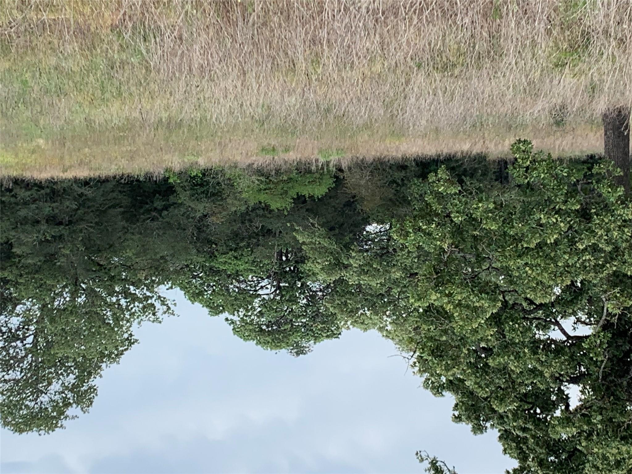 276 Ott Rd, Rosanky, TX 78953