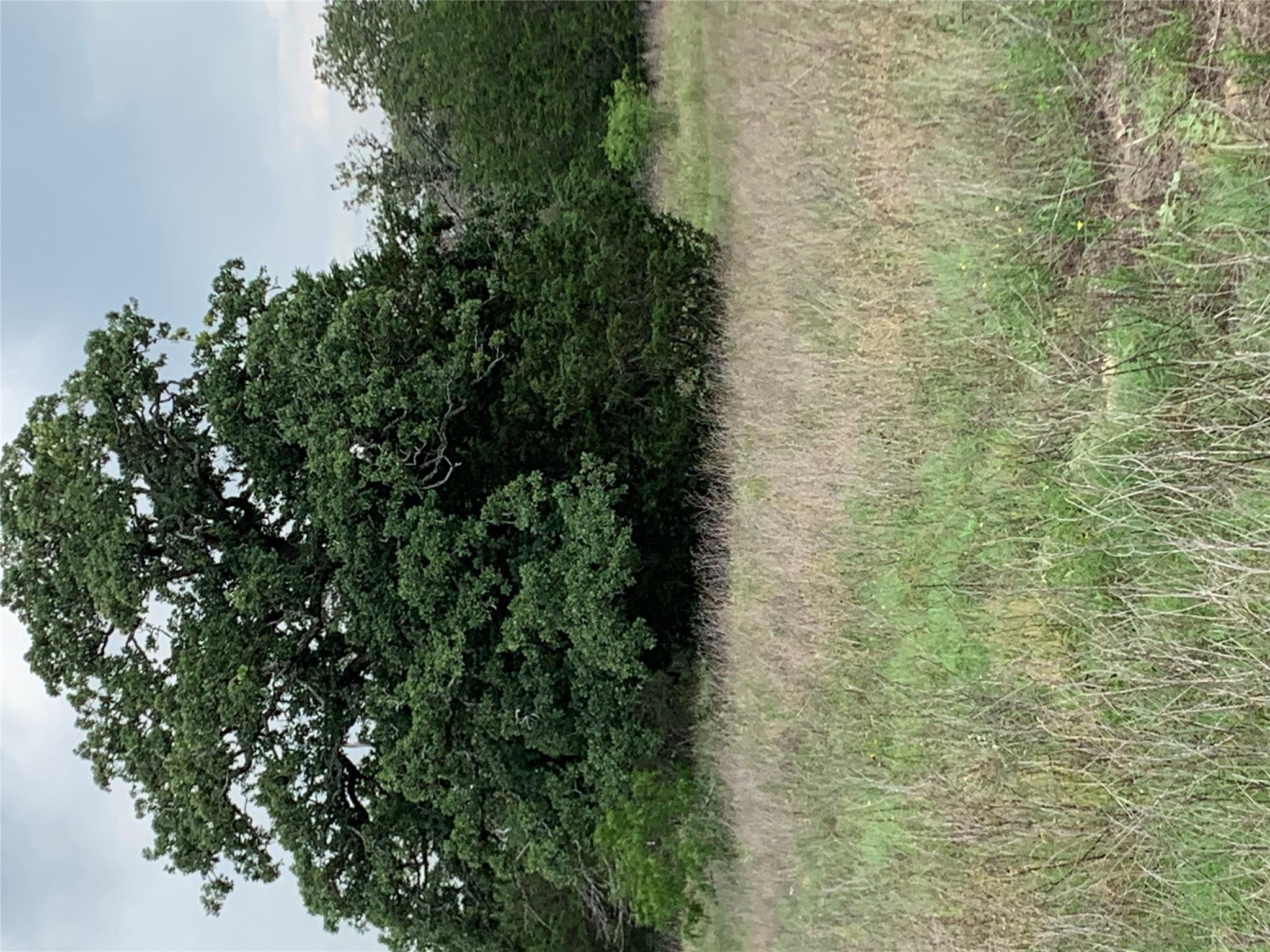 276 Ott Rd, Rosanky, TX 78953