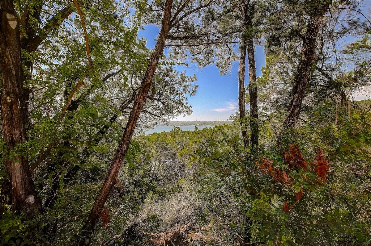 13908 Skyline Dr, Austin, TX 78732