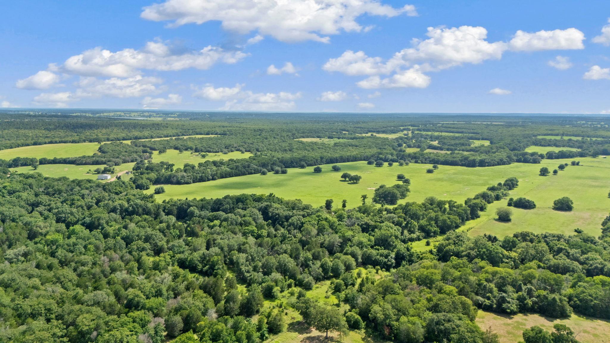 1010 Saint Delight Rd, Paige, TX 78659