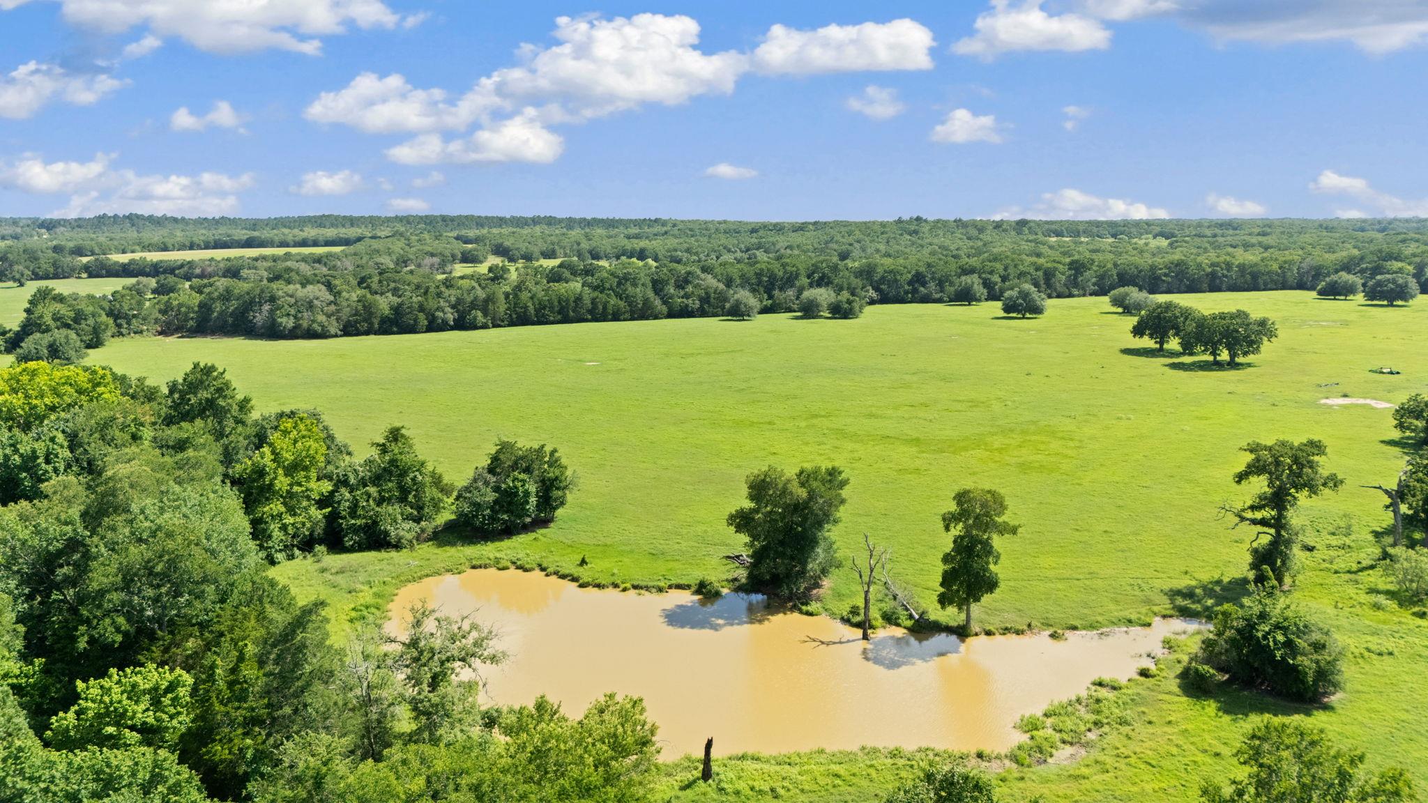 1010 Saint Delight Rd, Paige, TX 78659