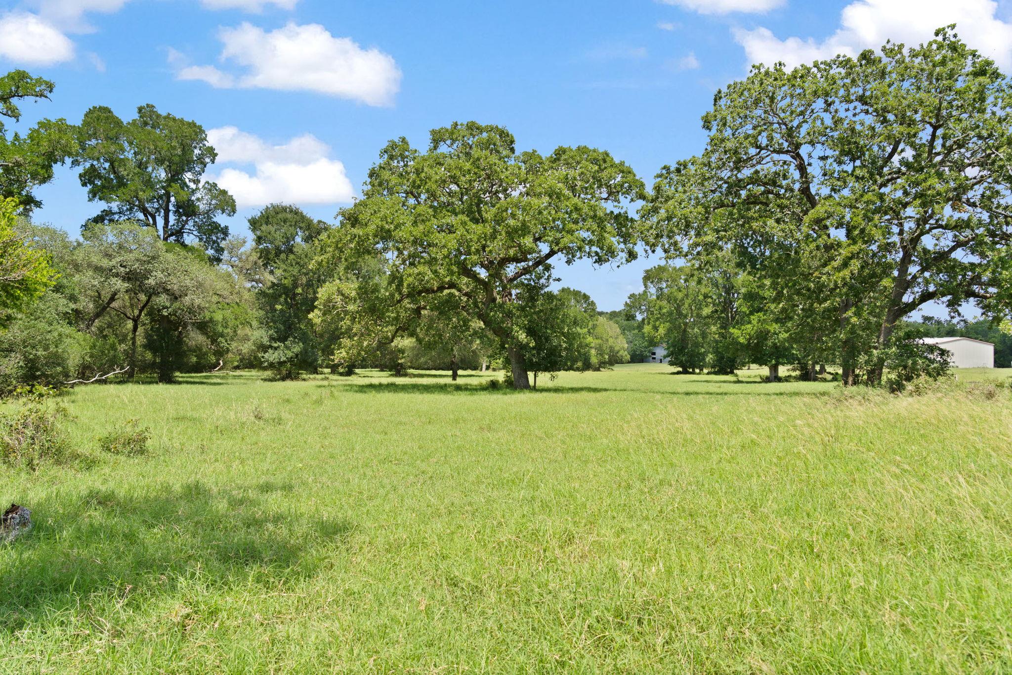 1010 Saint Delight Rd, Paige, TX 78659