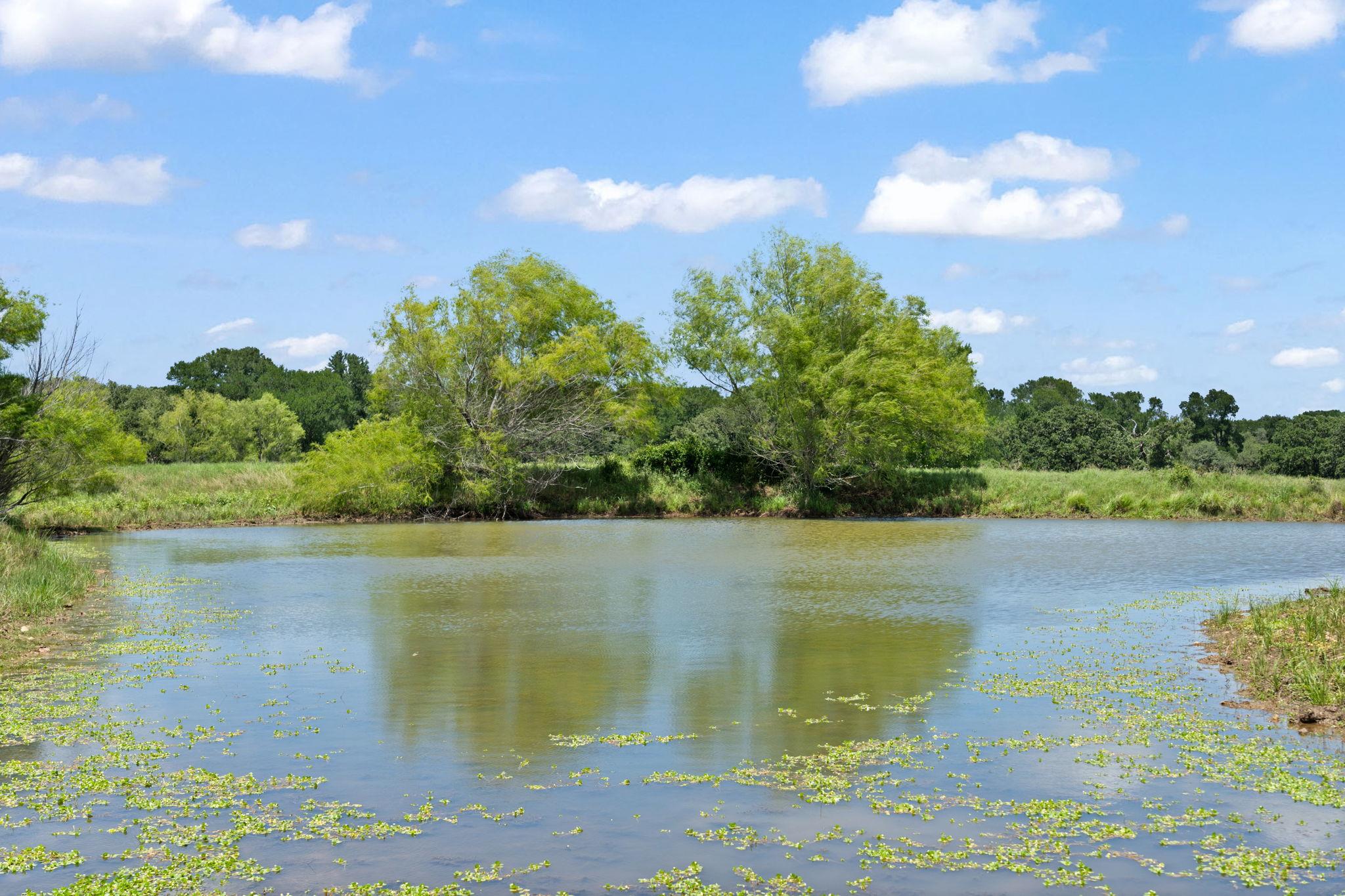 1010 Saint Delight Rd, Paige, TX 78659