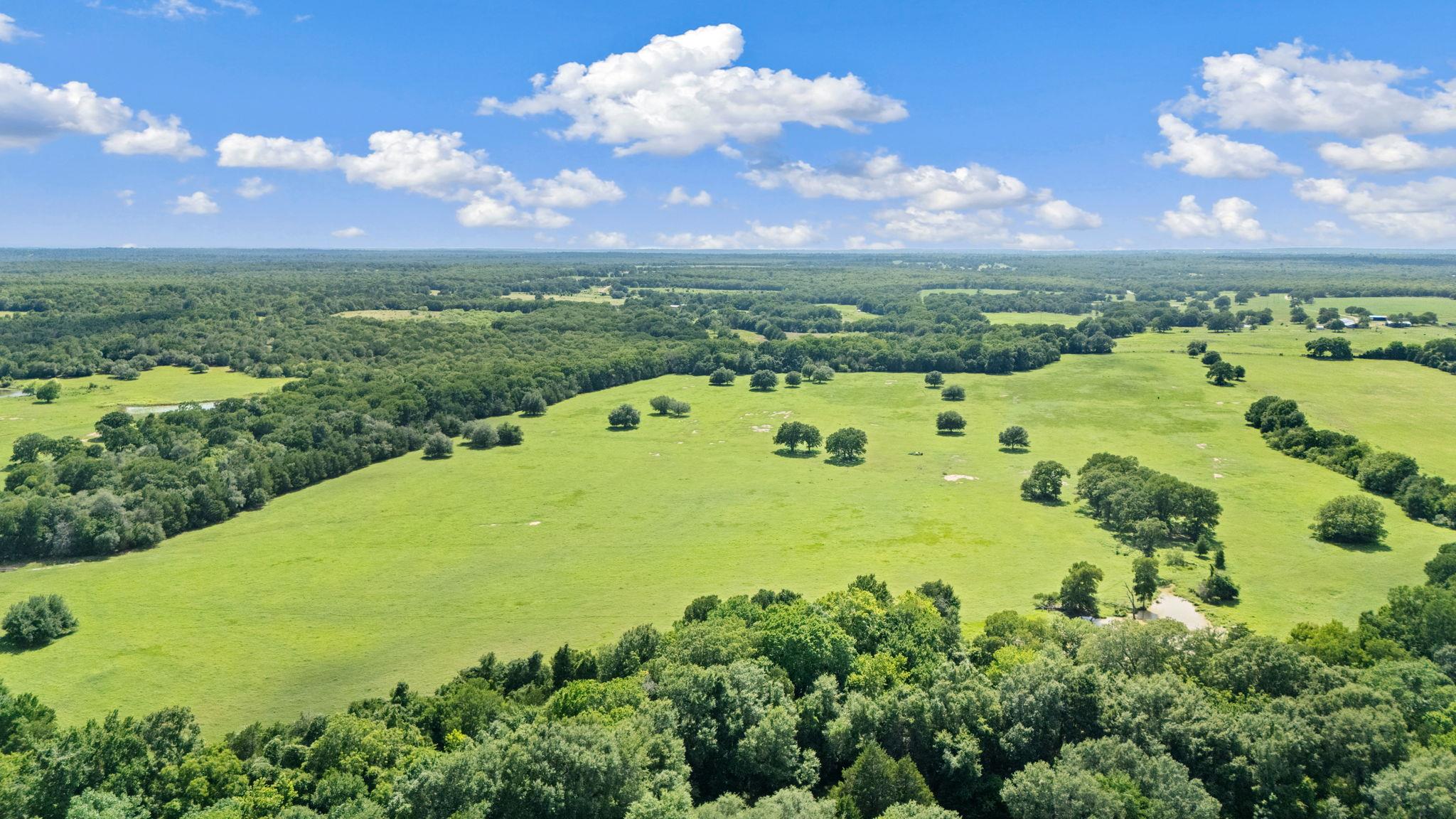 1010 Saint Delight Rd, Paige, TX 78659