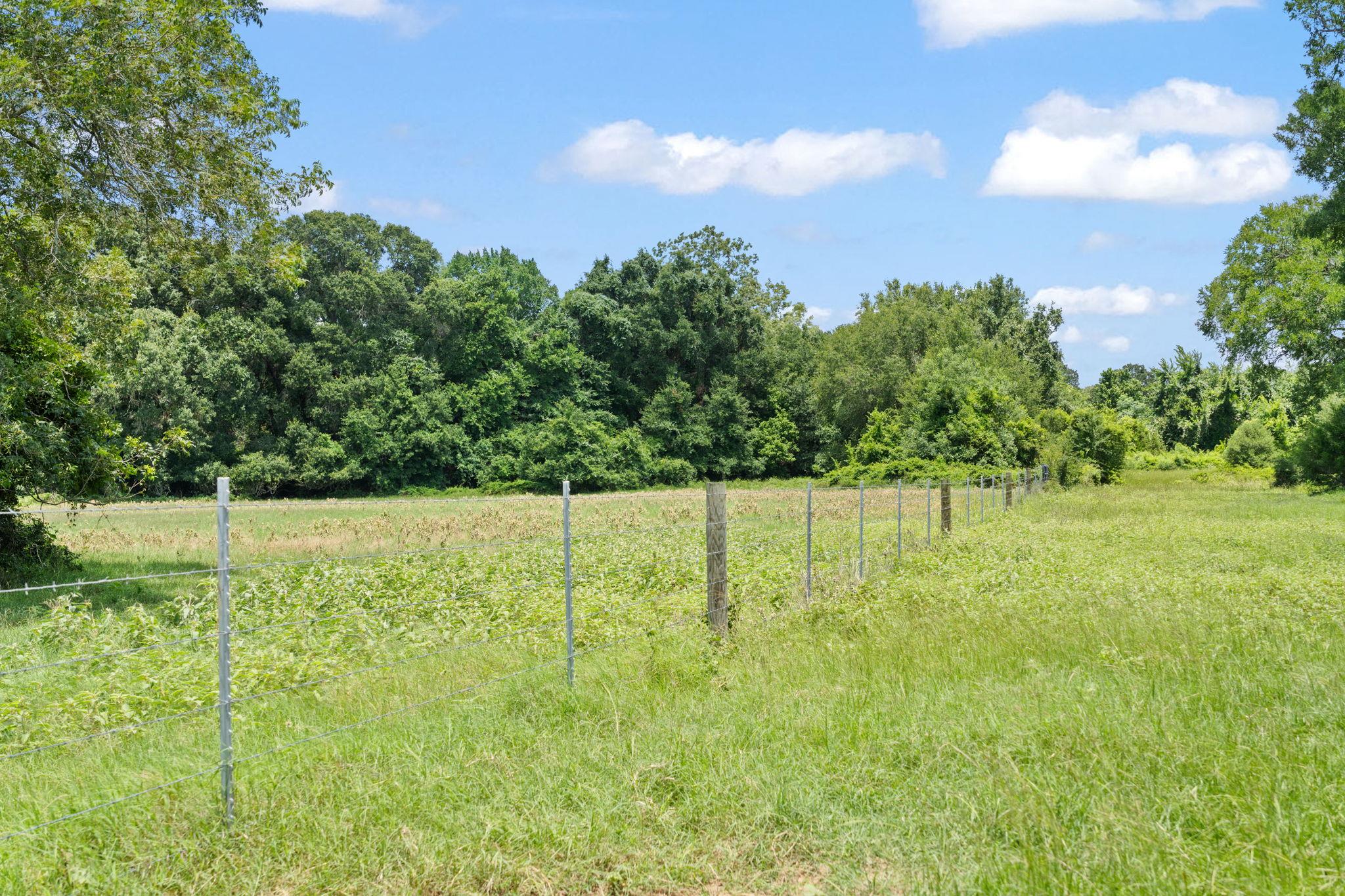 1010 Saint Delight Rd, Paige, TX 78659