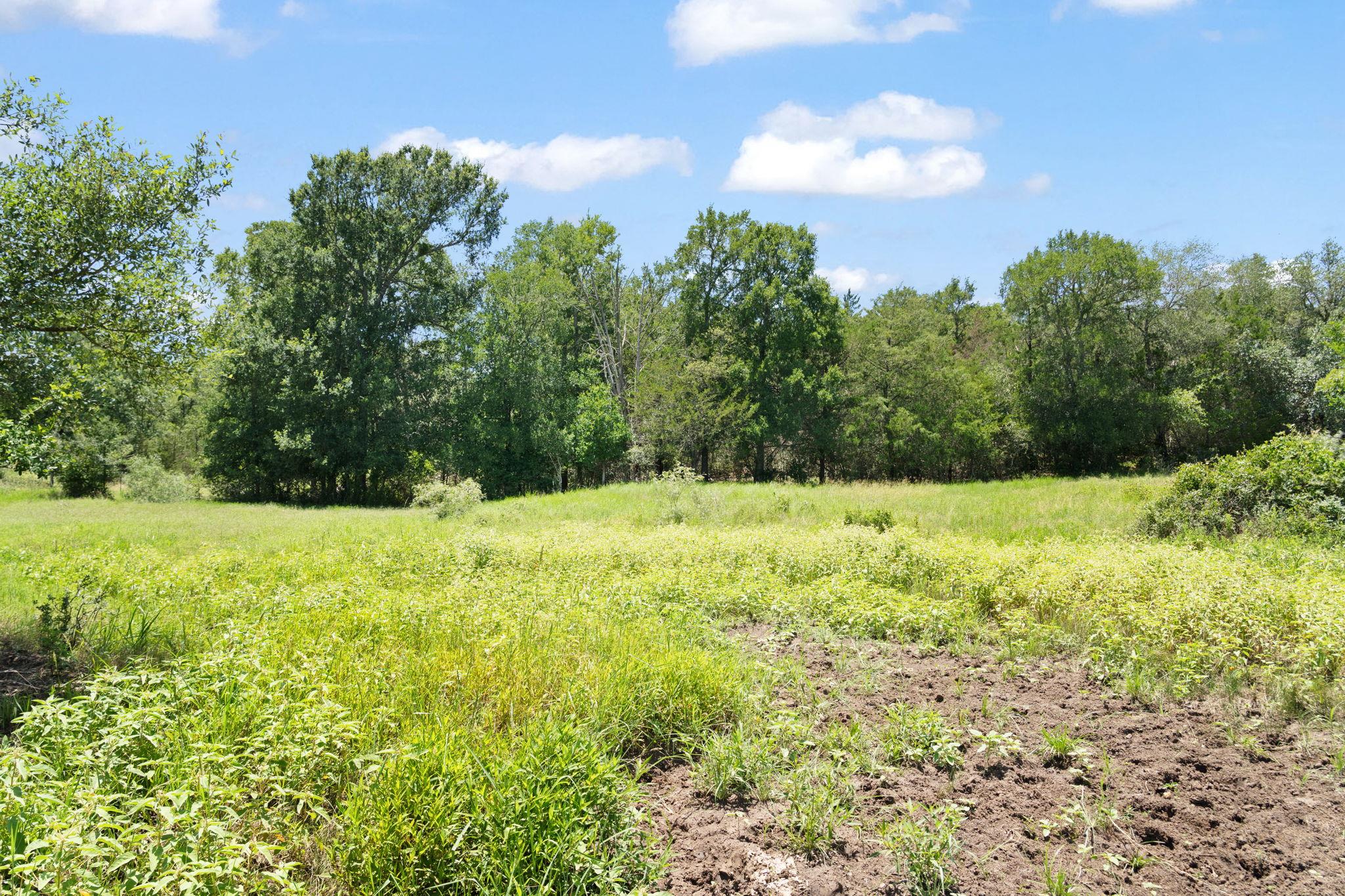 1010 Saint Delight Rd, Paige, TX 78659