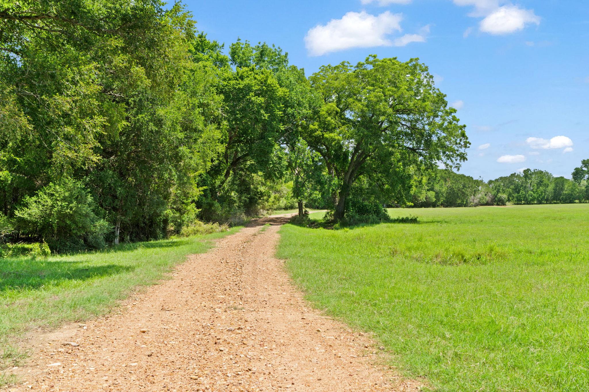 1010 Saint Delight Rd, Paige, TX 78659