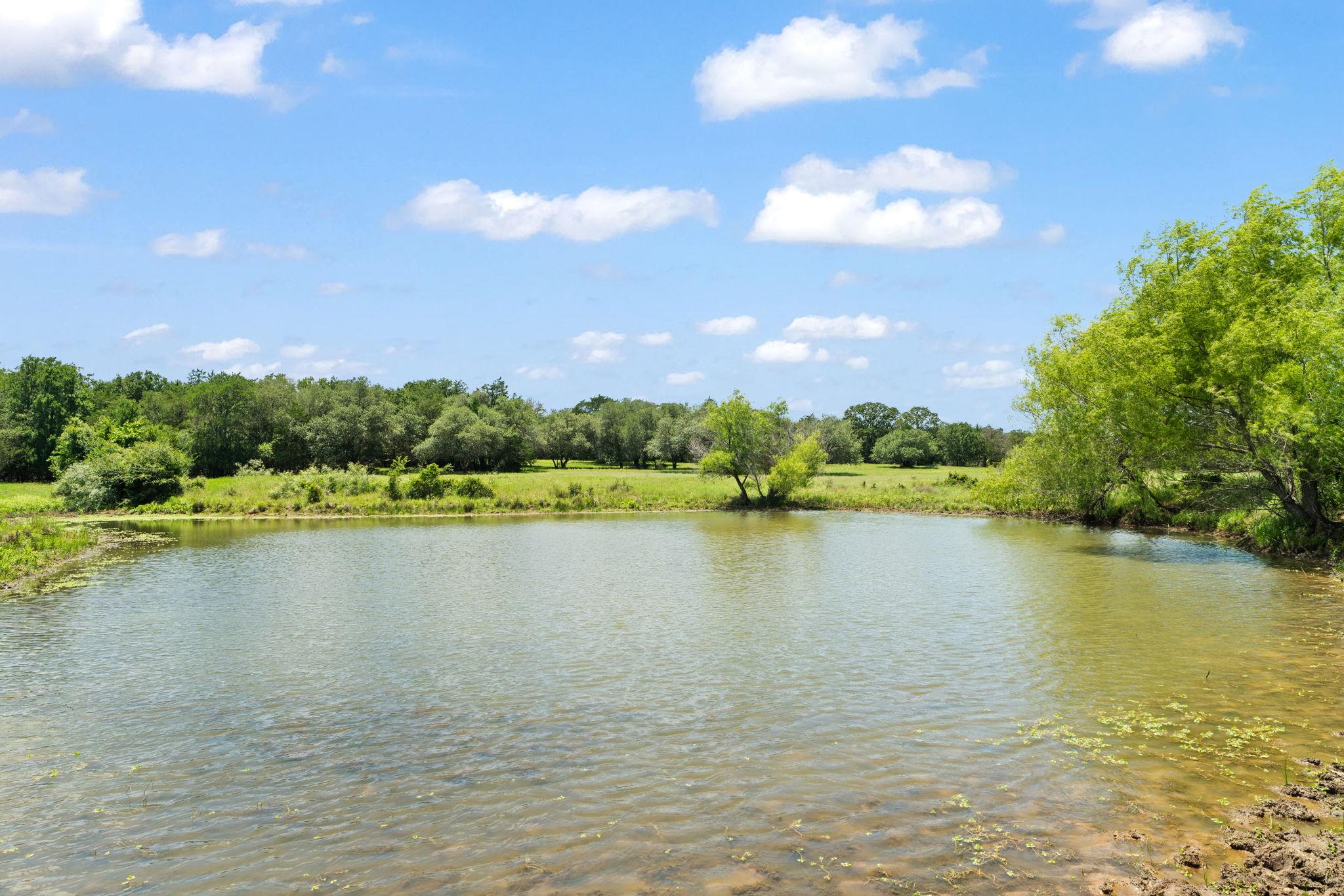 1010 Saint Delight Rd, Paige, TX 78659