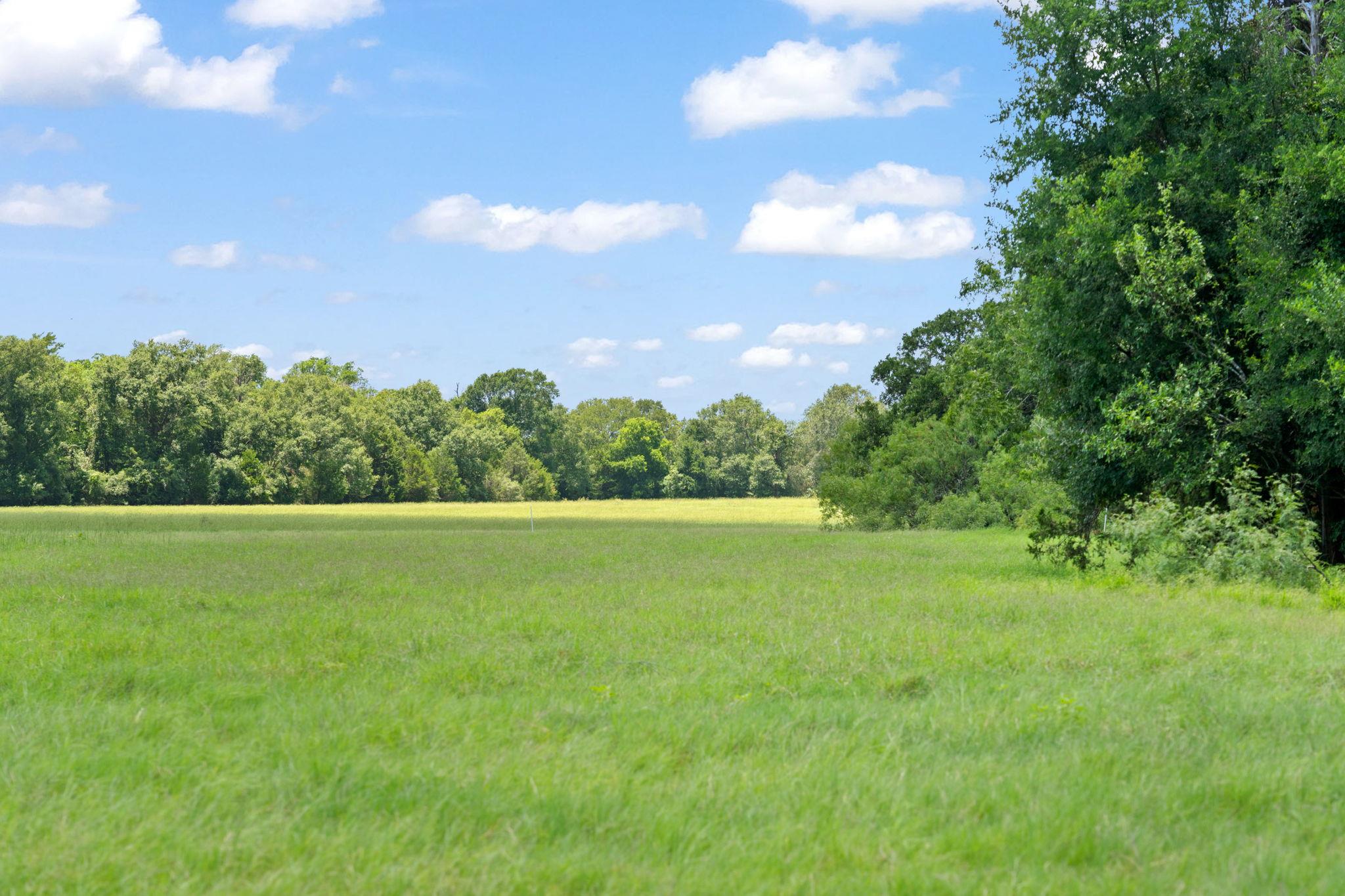 1010 Saint Delight Rd, Paige, TX 78659