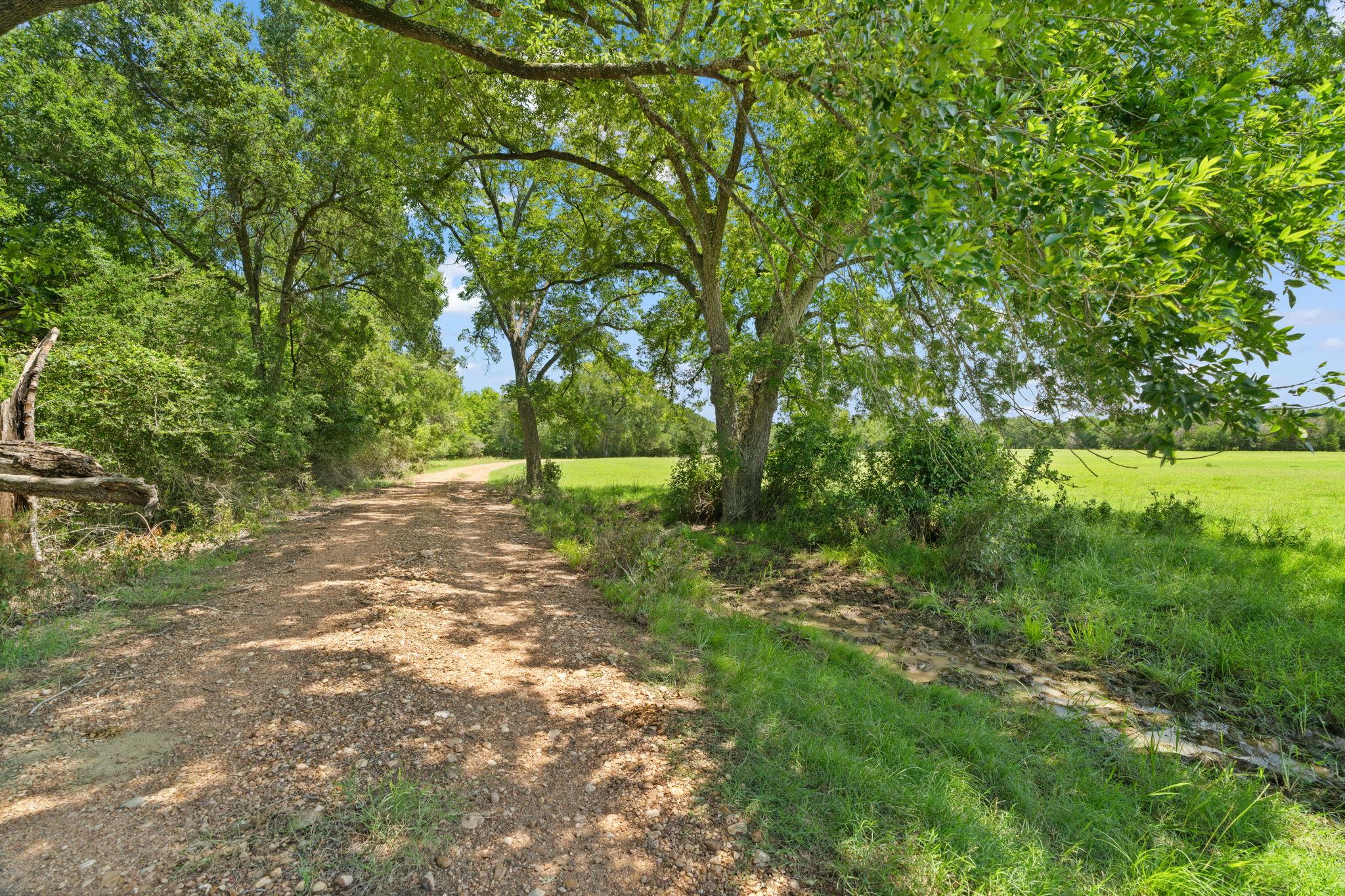 1010 Saint Delight Rd, Paige, TX 78659