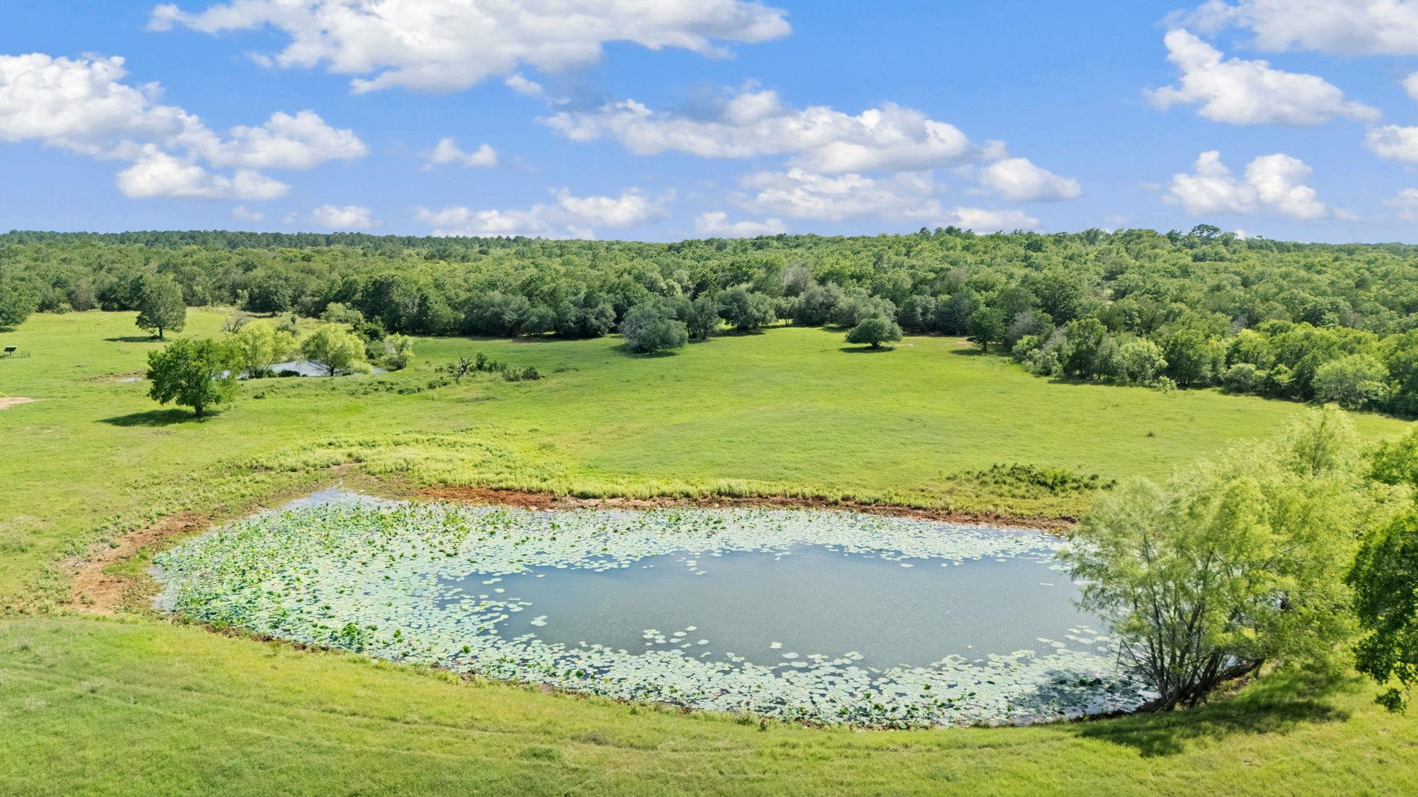 1010 Saint Delight Rd, Paige, TX 78659