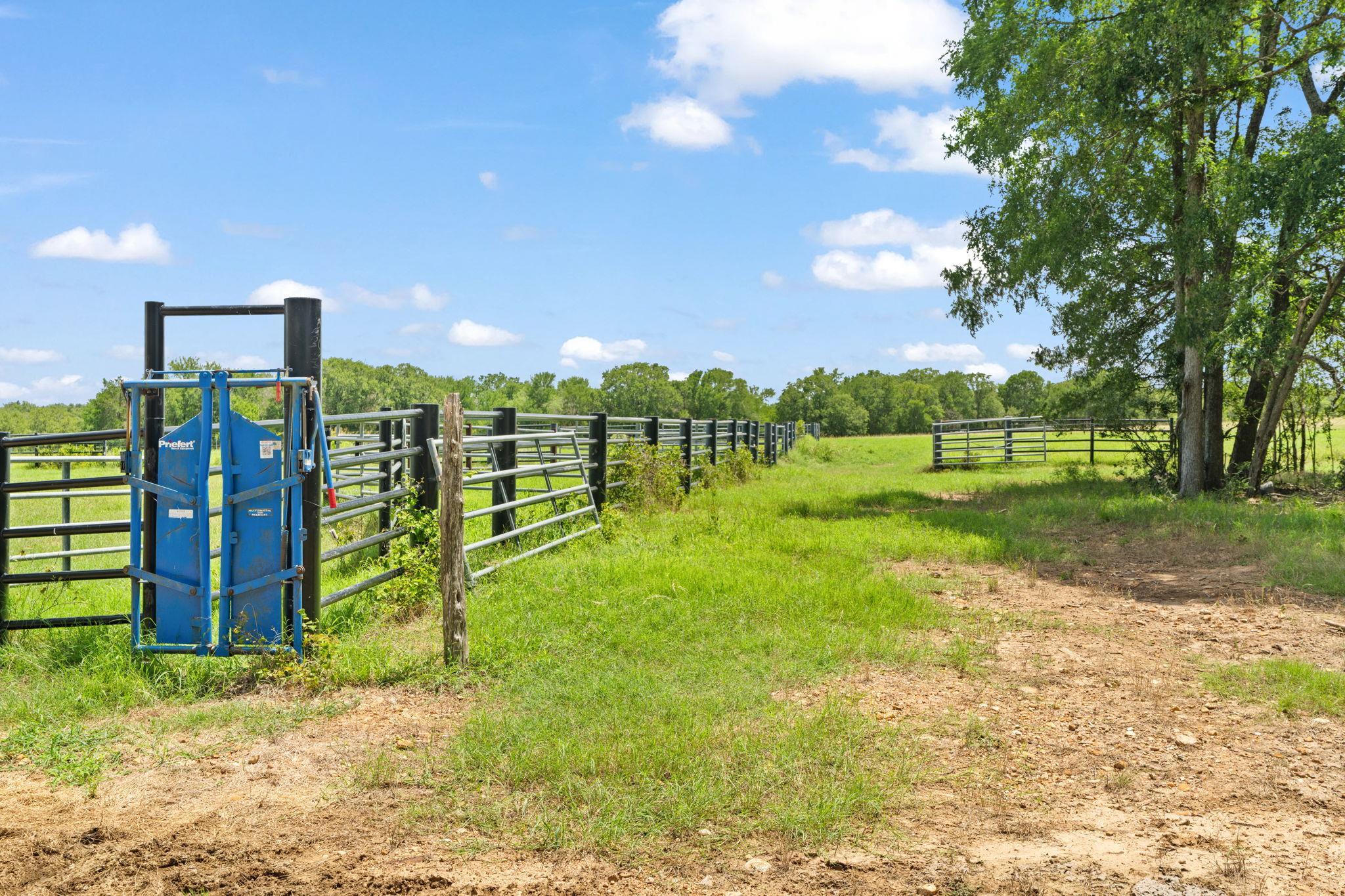 1010 Saint Delight Rd, Paige, TX 78659