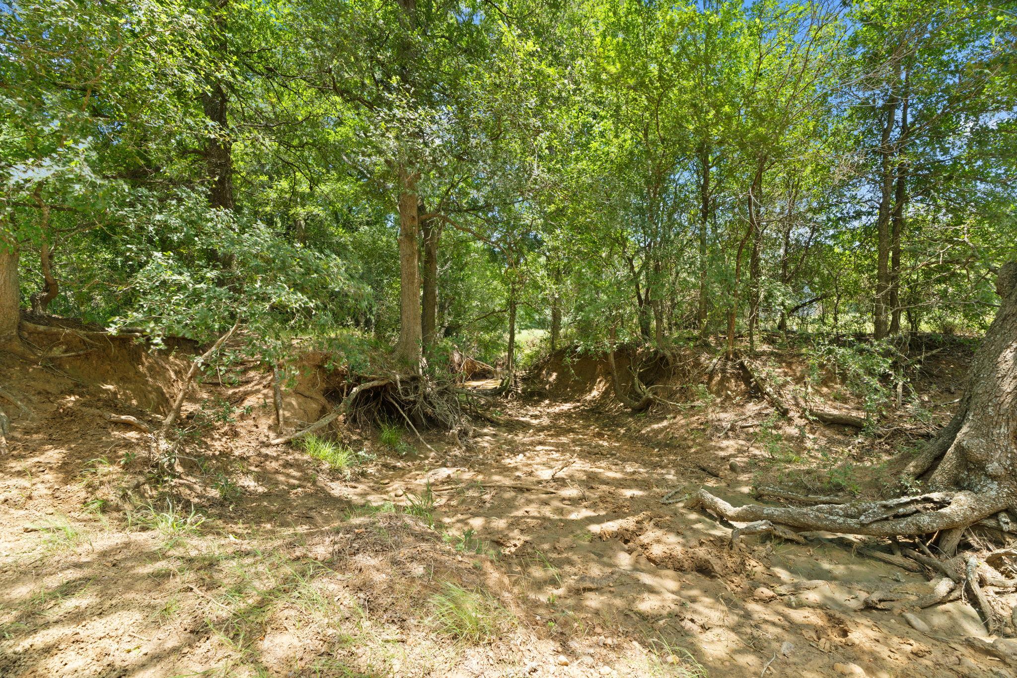 1010 Saint Delight Rd, Paige, TX 78659