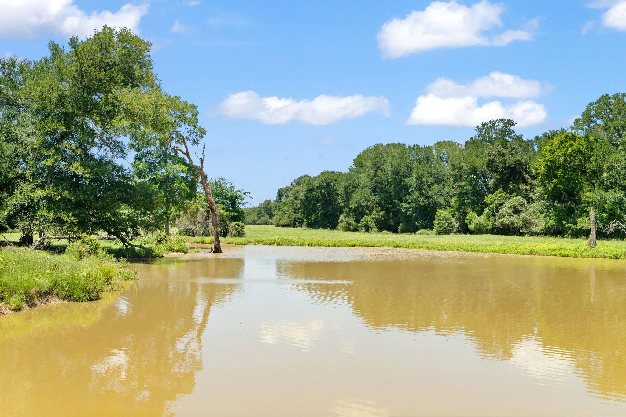 1010 Saint Delight Rd, Paige, TX 78659