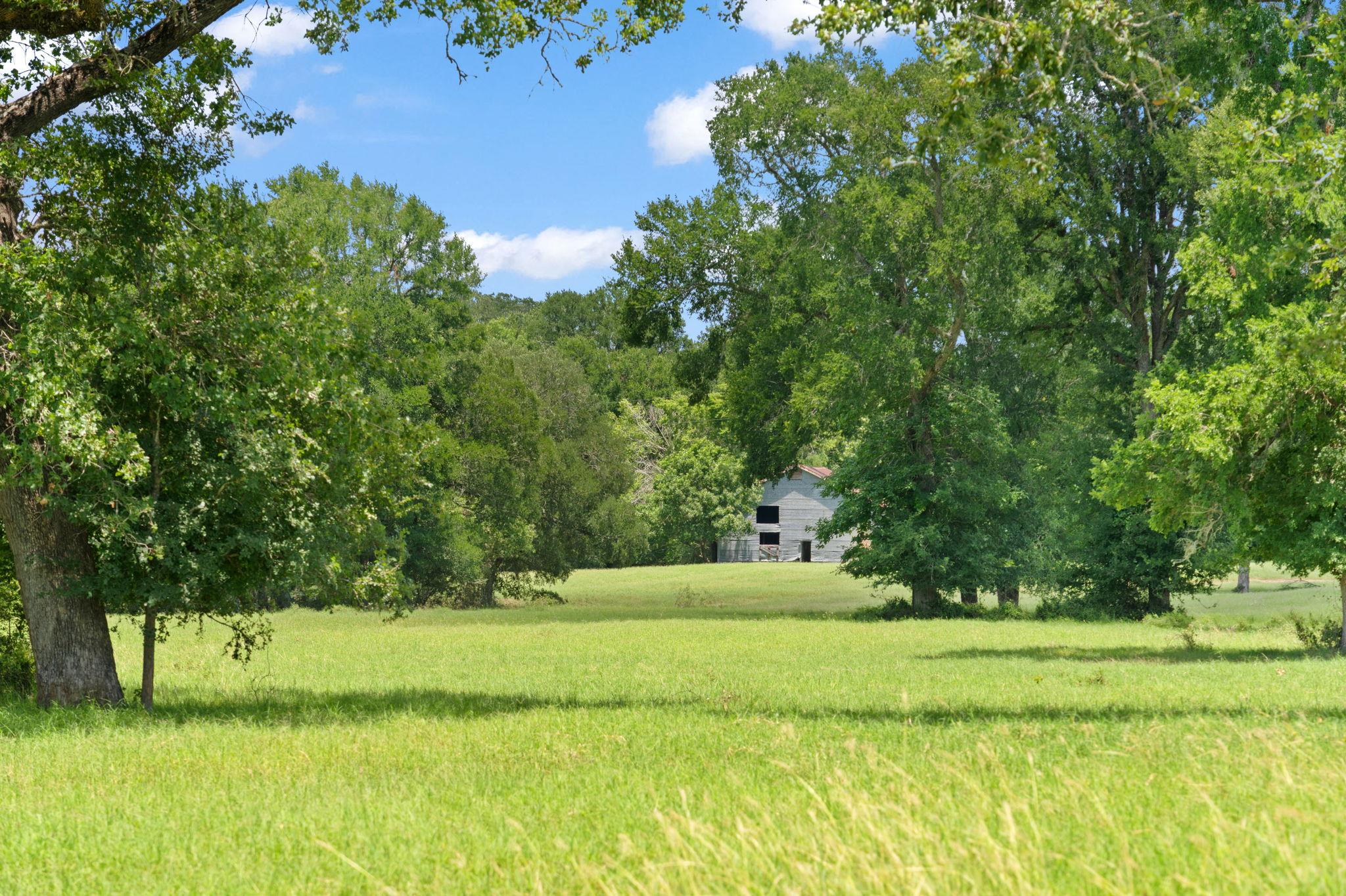 1010 Saint Delight Rd, Paige, TX 78659