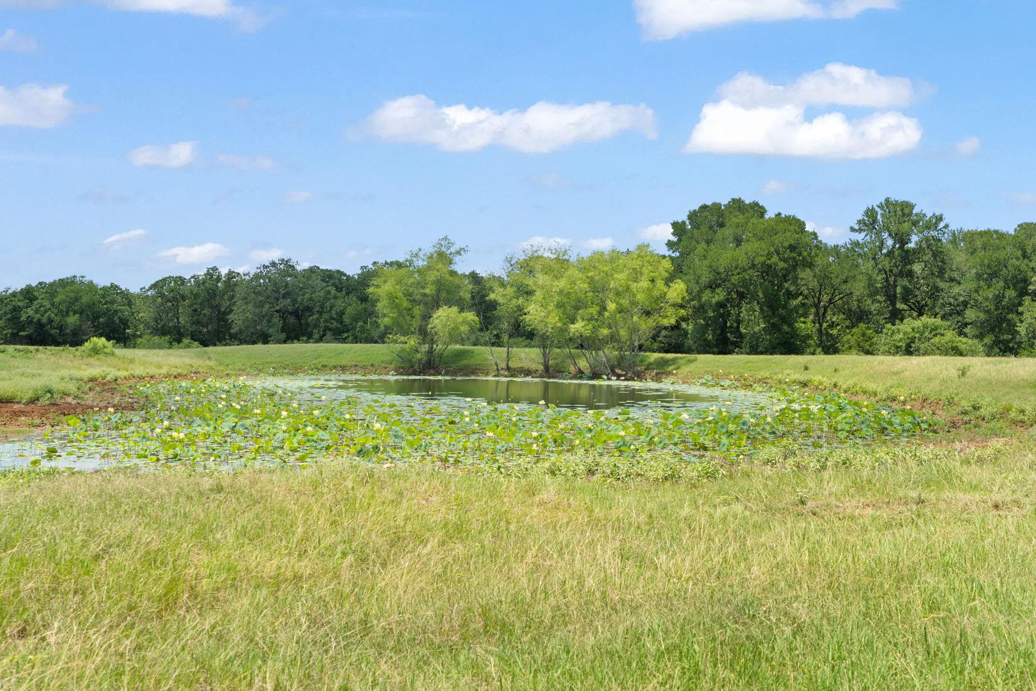 1010 Saint Delight Rd, Paige, TX 78659