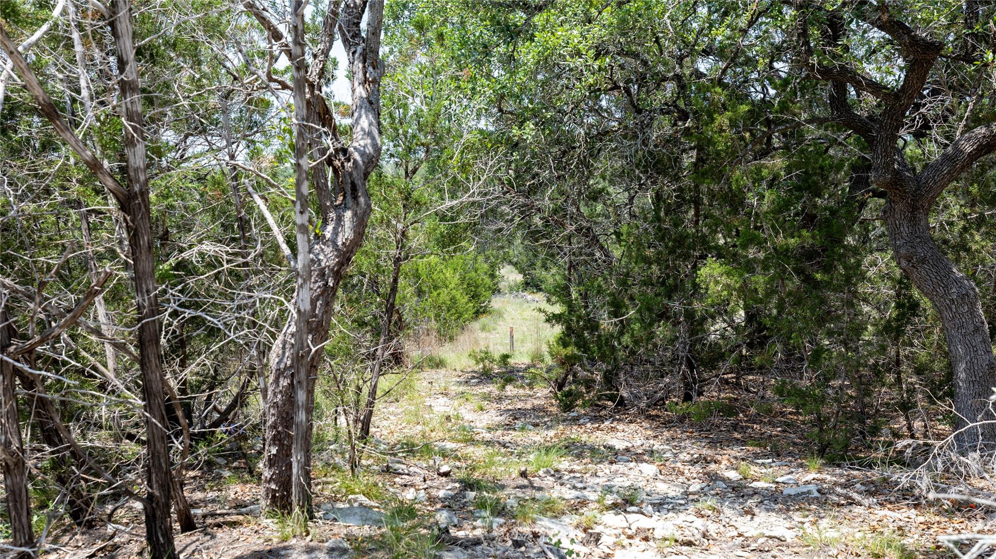 34705 Mayer Oaks, Bulverde, TX 78163