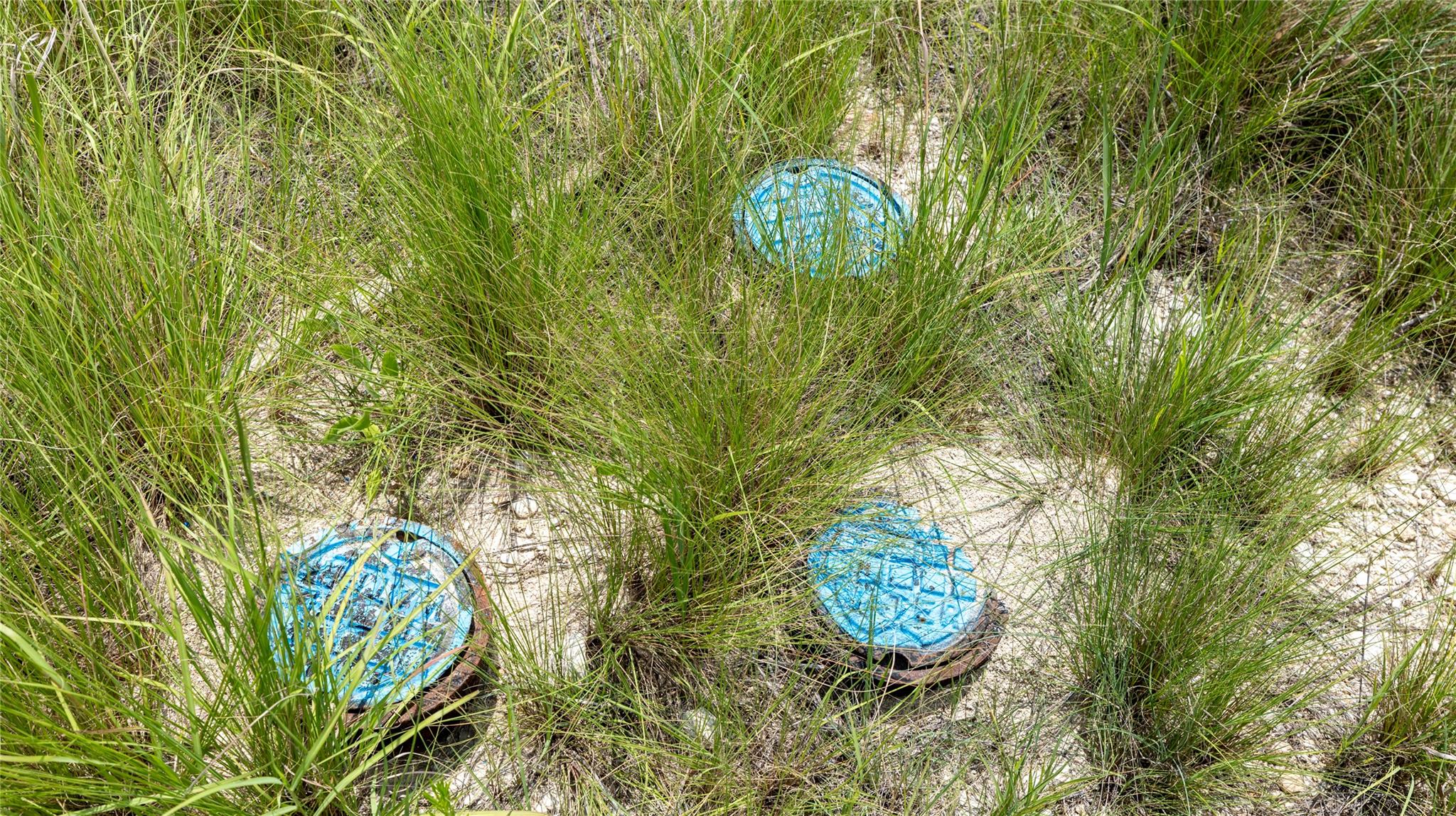 34705 Mayer Oaks, Bulverde, TX 78163