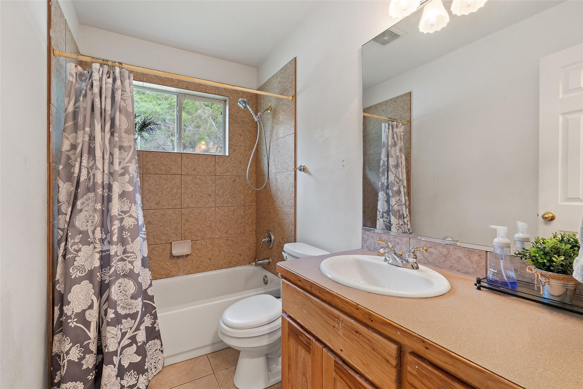 22305 Shotts Dr, Spicewood, TX 78669
