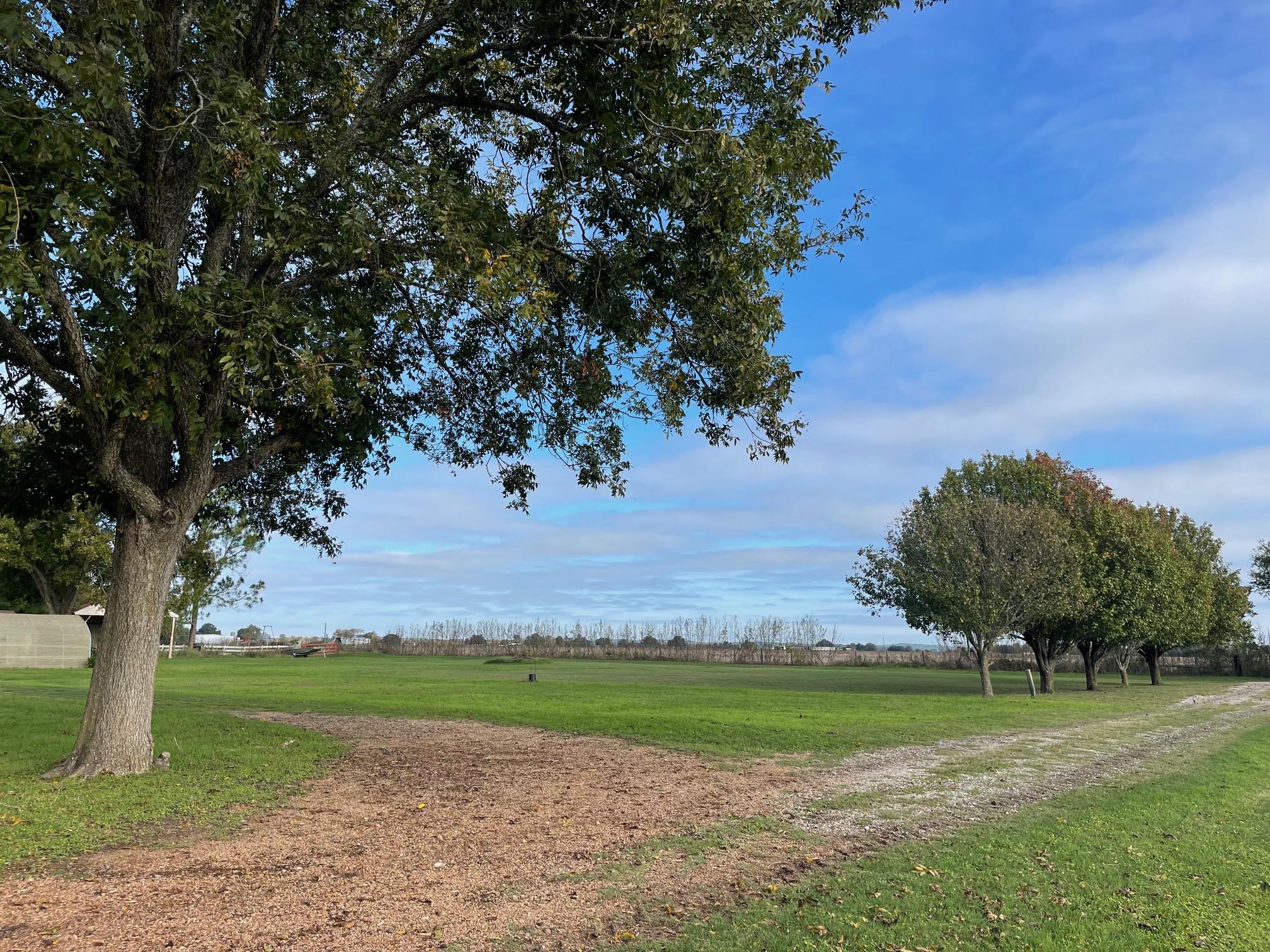 741A Muzny Rd, La Grange, TX 78945