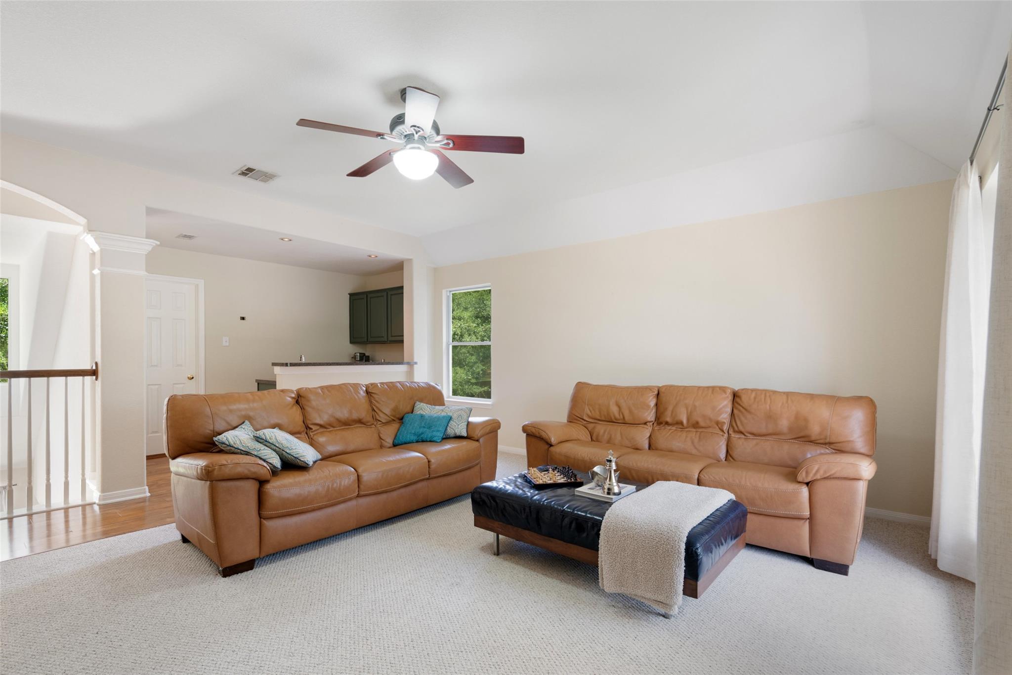 1117 Dalea Blf, Round Rock, TX 78665