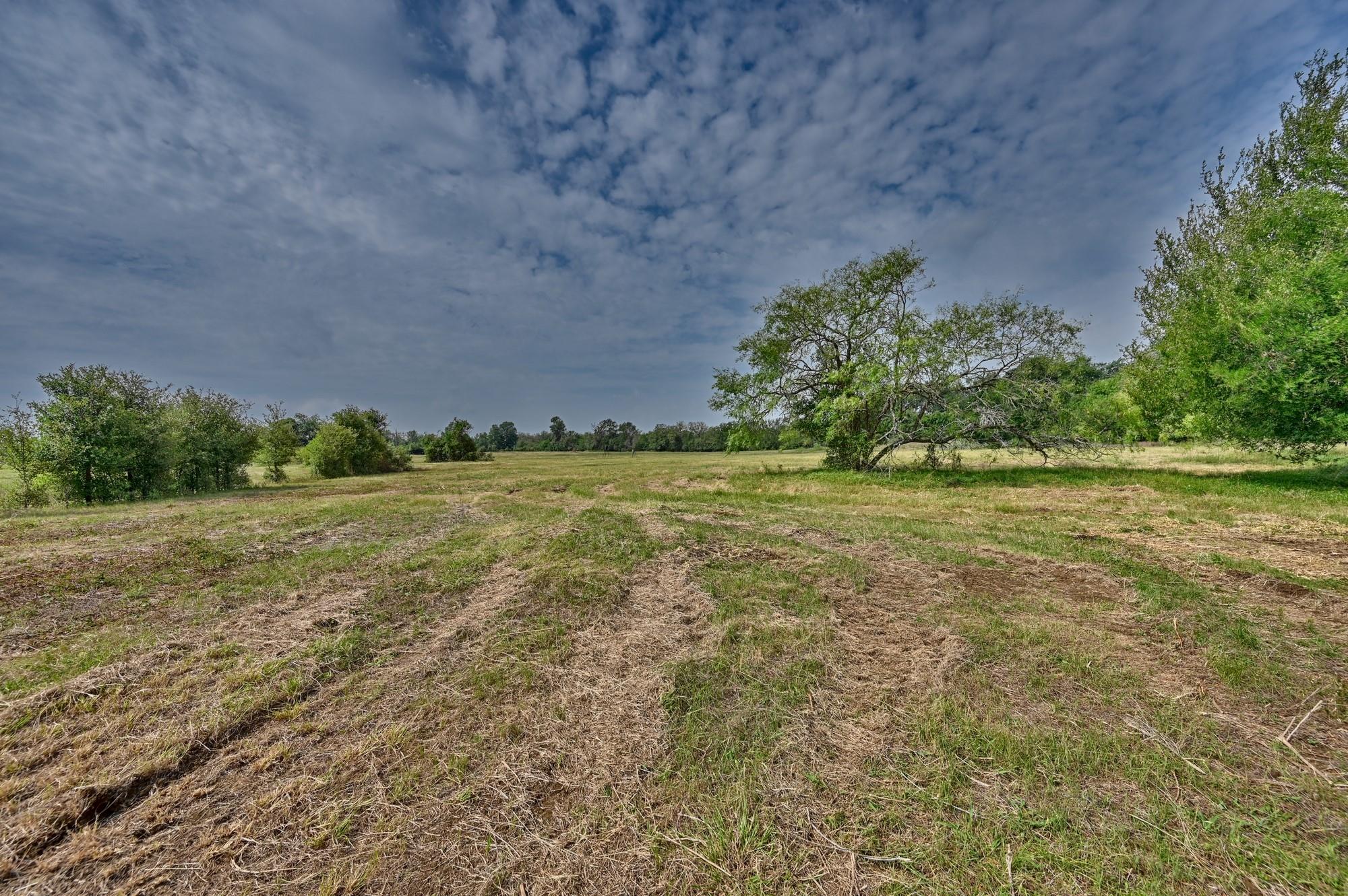 TBD (14.253 Acres) Lee County Rd, Paige, TX 78659