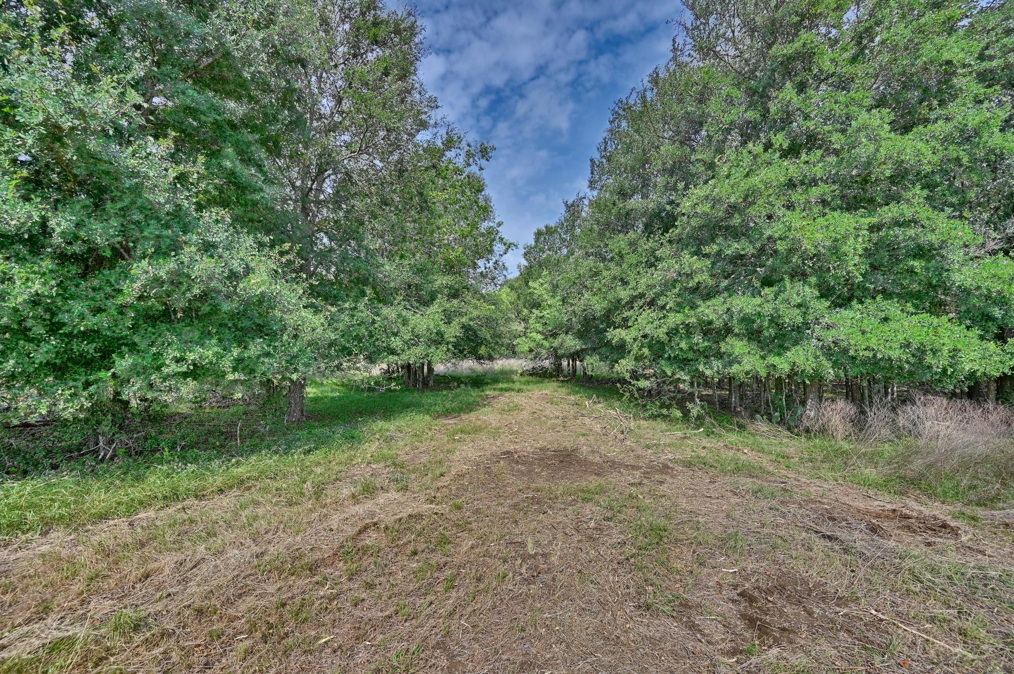 TBD (14.253 Acres) Lee County Rd, Paige, TX 78659