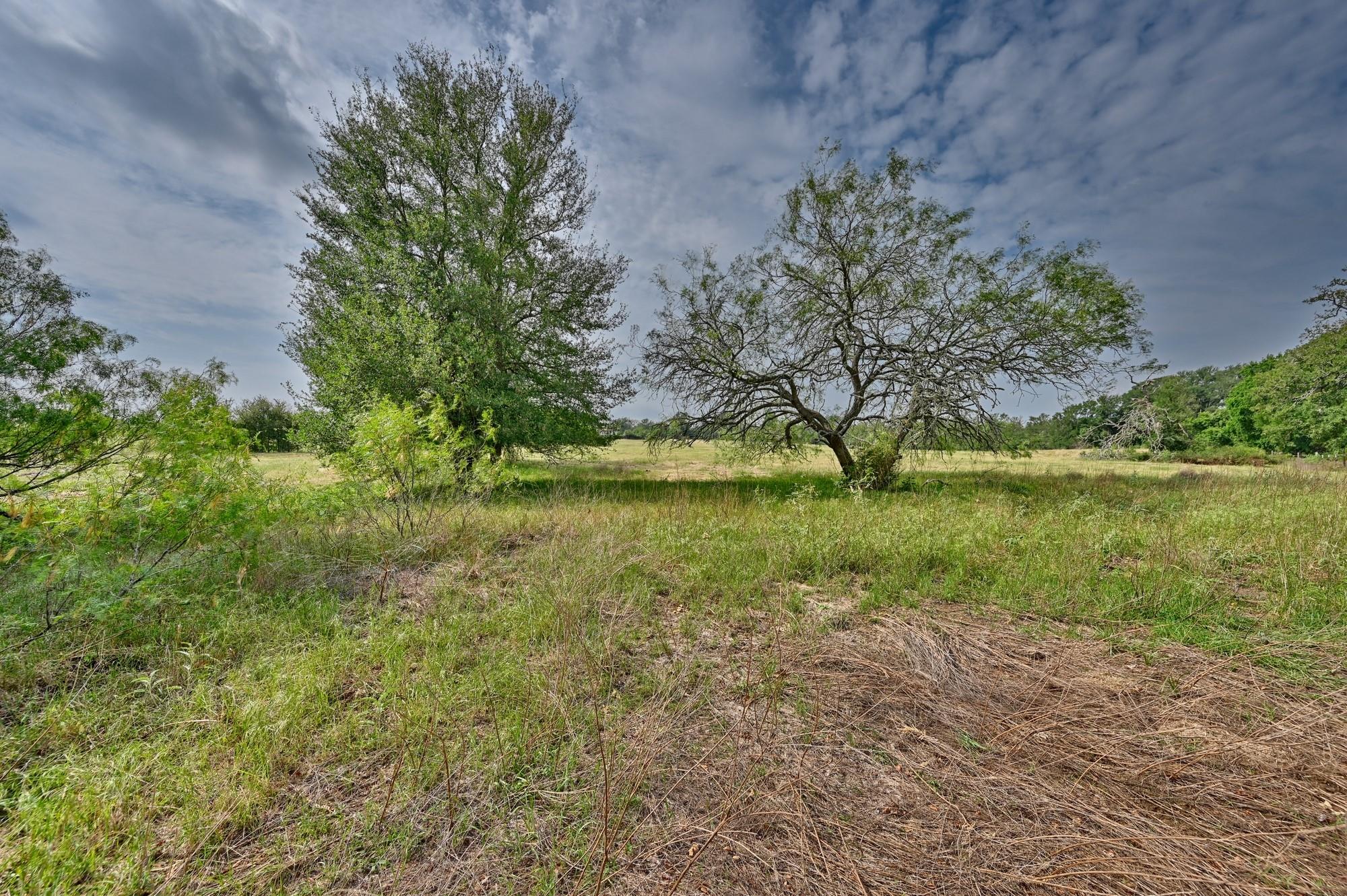 TBD (14.253 Acres) Lee County Rd, Paige, TX 78659