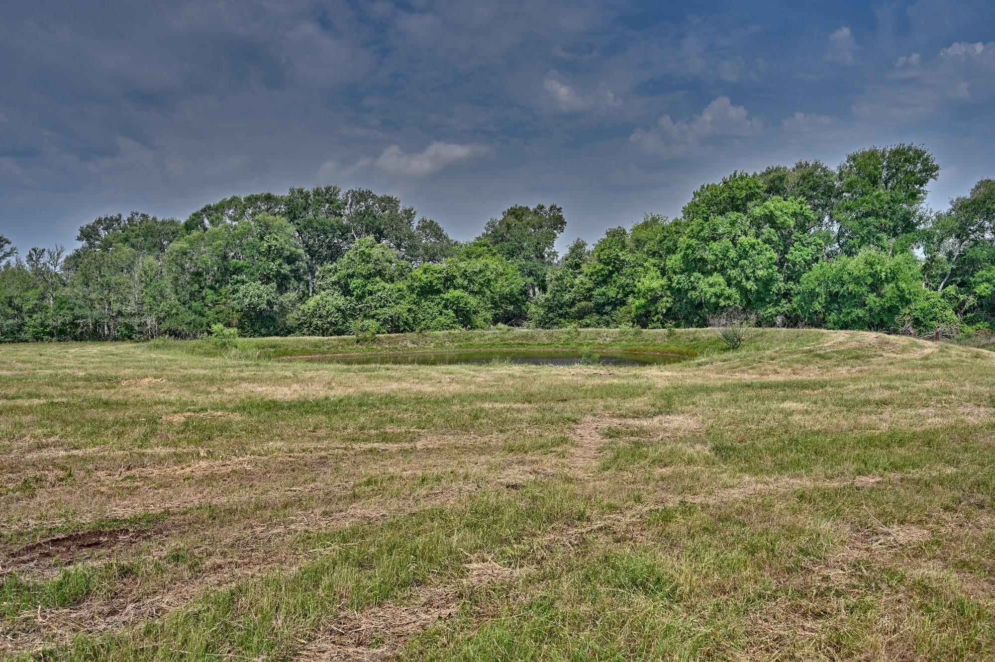 TBD (14.253 Acres) Lee County Rd, Paige, TX 78659