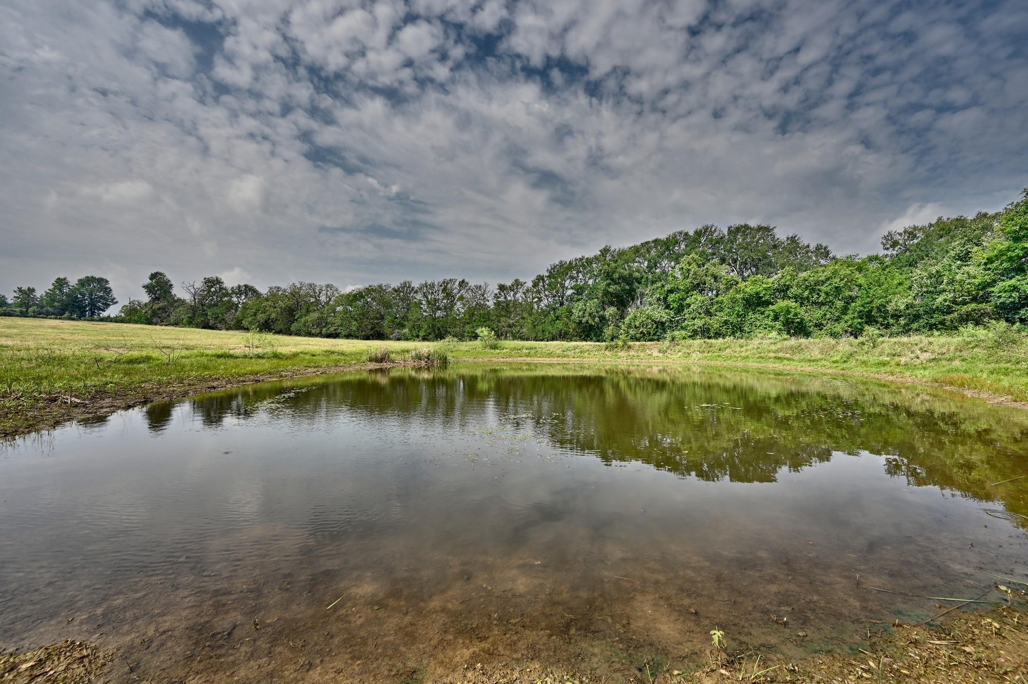 TBD (14.253 Acres) Lee County Rd, Paige, TX 78659