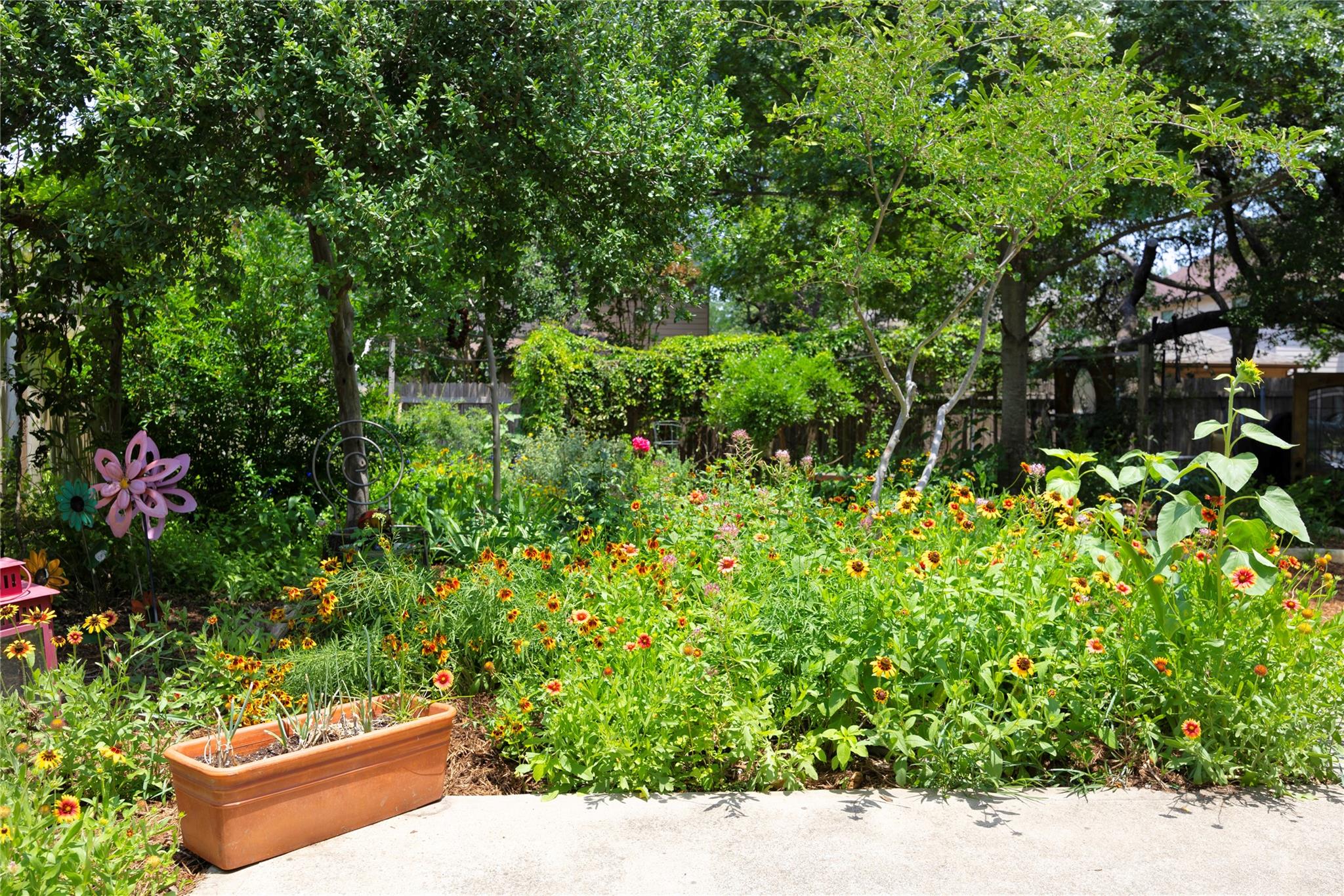 504 Tyree Rd, Cedar Park, TX 78613