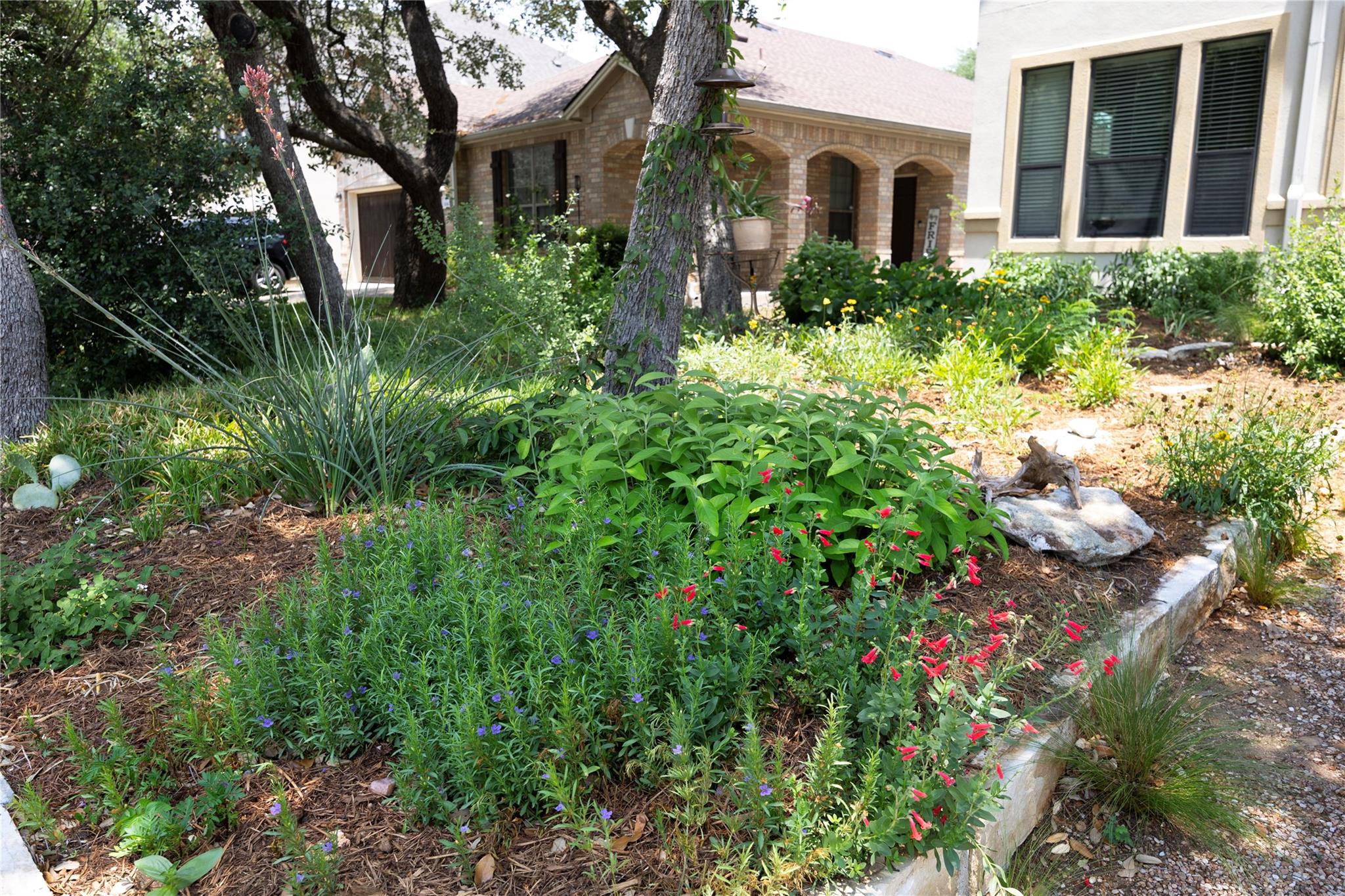 504 Tyree Rd, Cedar Park, TX 78613