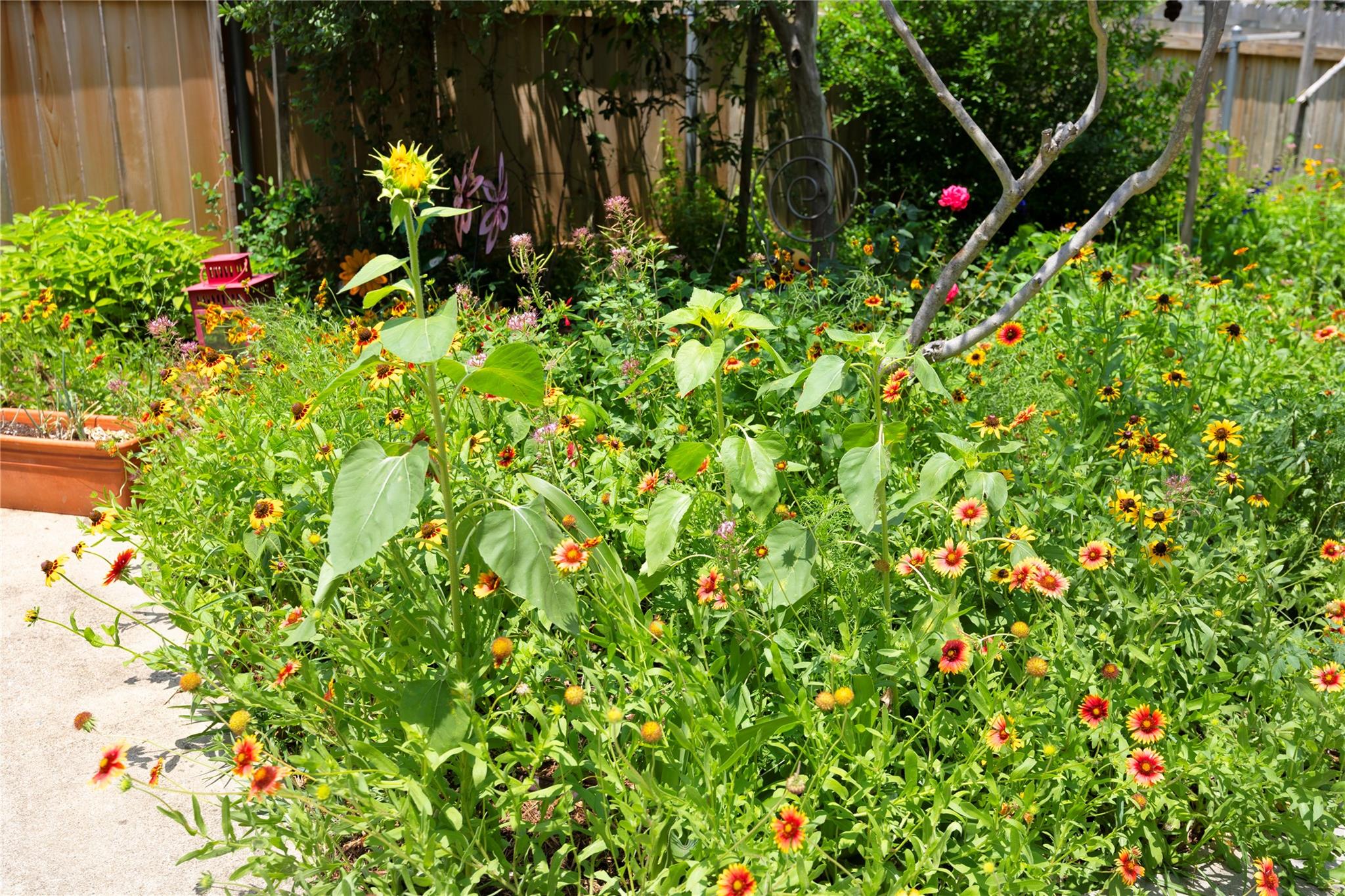 504 Tyree Rd, Cedar Park, TX 78613